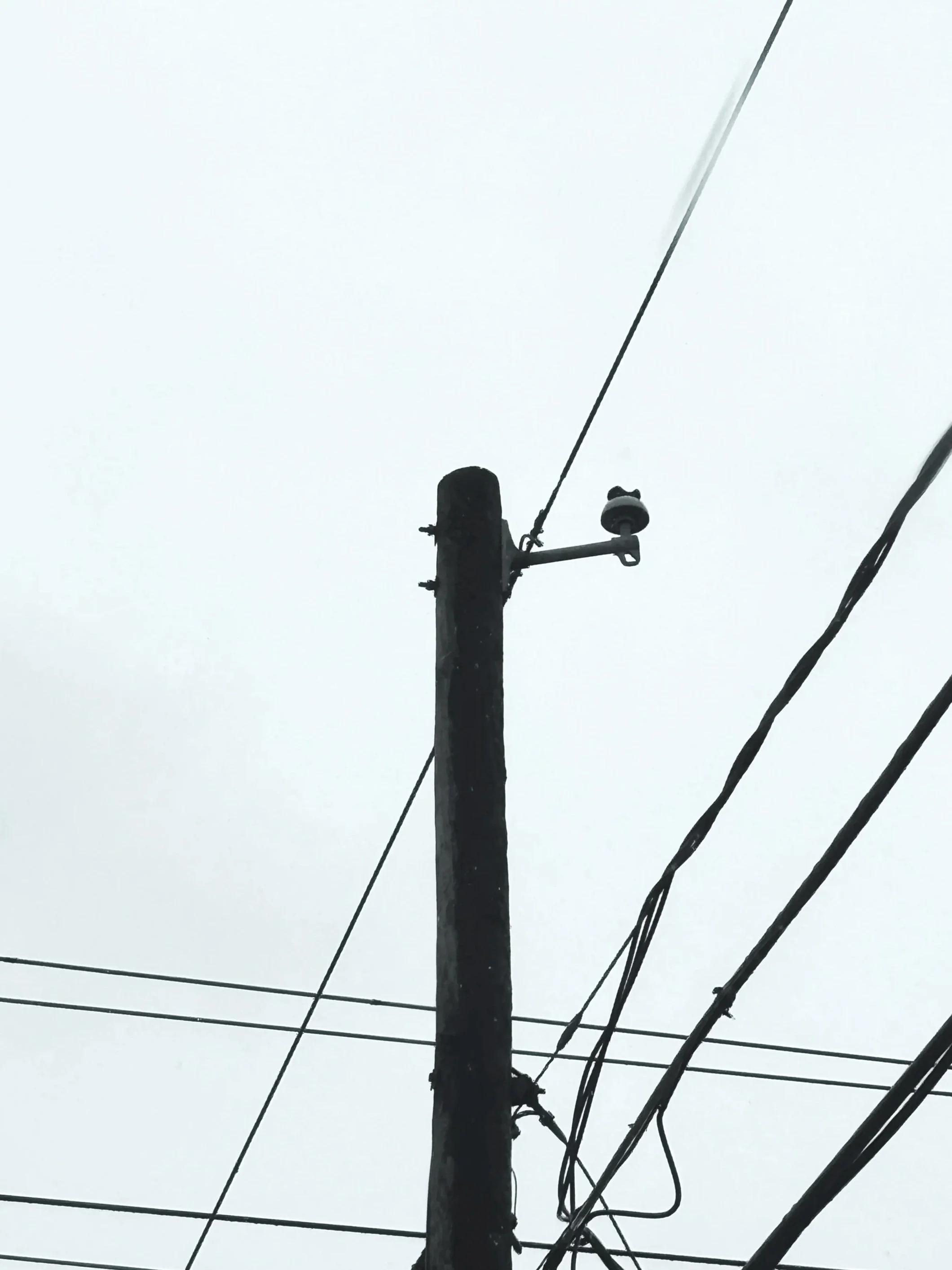 A silhouette of a utility pole with multiple power lines against a gray, overcast sky.