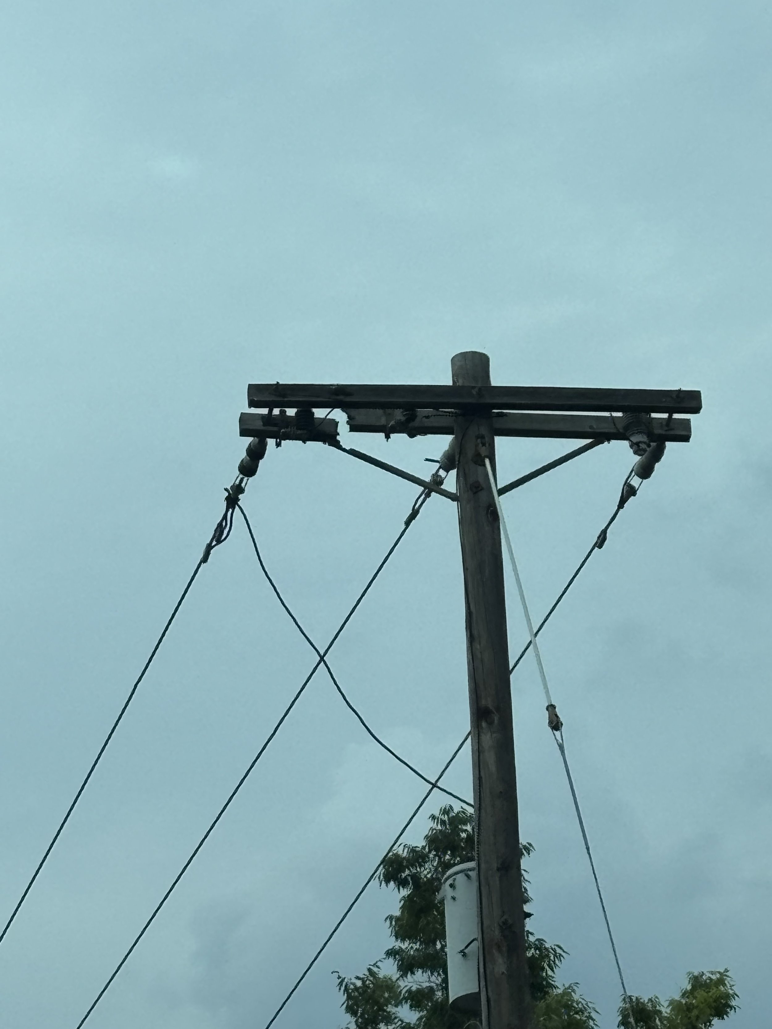 A wooden utility pole with wires and insulators extending to the sides, set against a pale blue sky with some clouds and the tops of trees at the bottom.