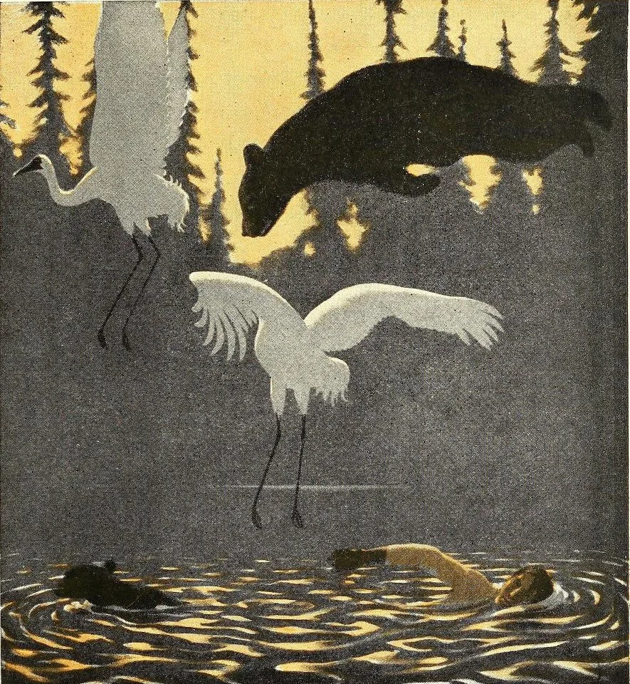 A black bear swimming in a pond, three white cranes flying above, and a dark forest with tall trees in the background.