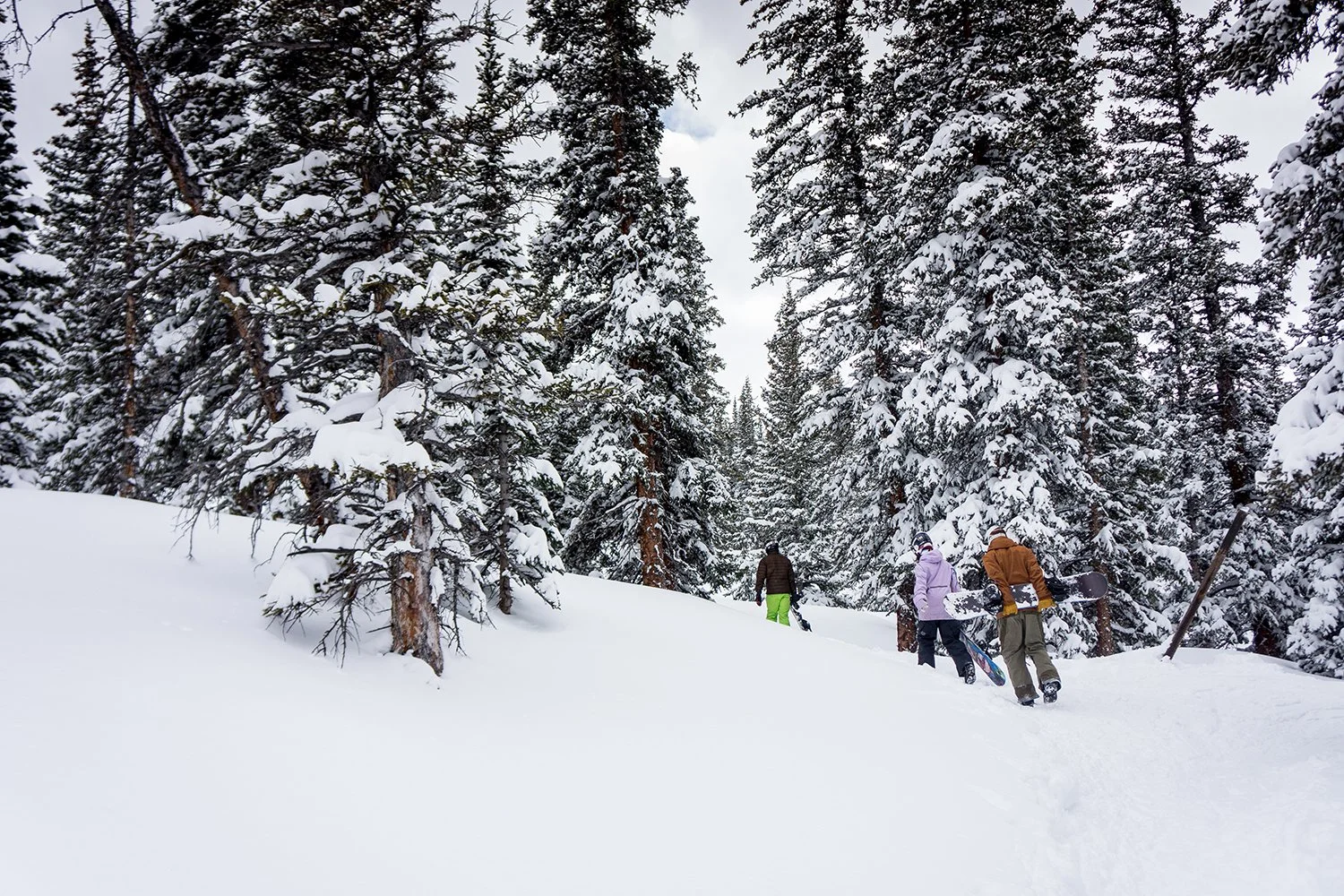 People in winter clothing walking through snow-covered forest with tall evergreen trees.