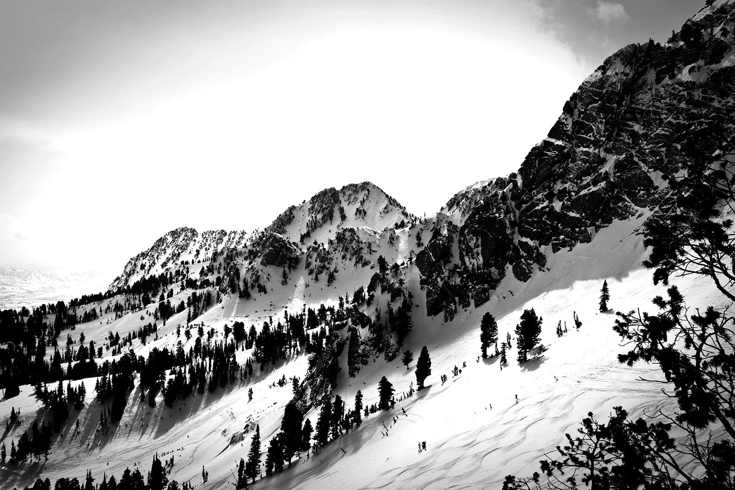Black and white photo of snow-covered mountain range with pine trees on slopes and rugged peaks.