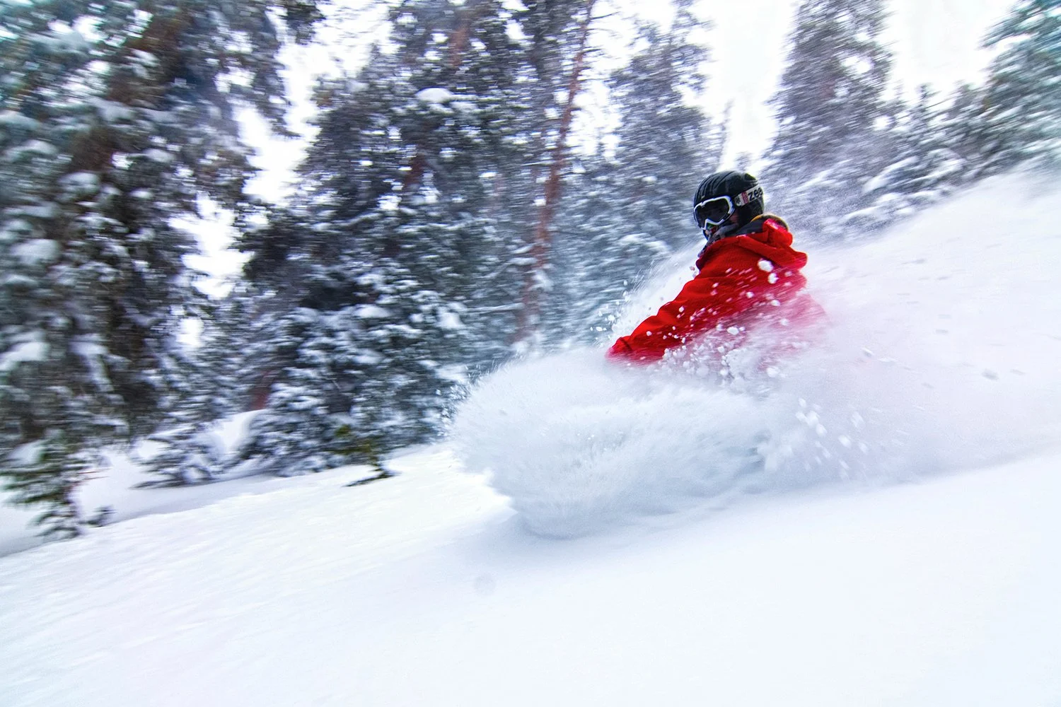 Person wearing a red jacket and black helmet snowboarding down a snowy slope surrounded by snow-covered trees.