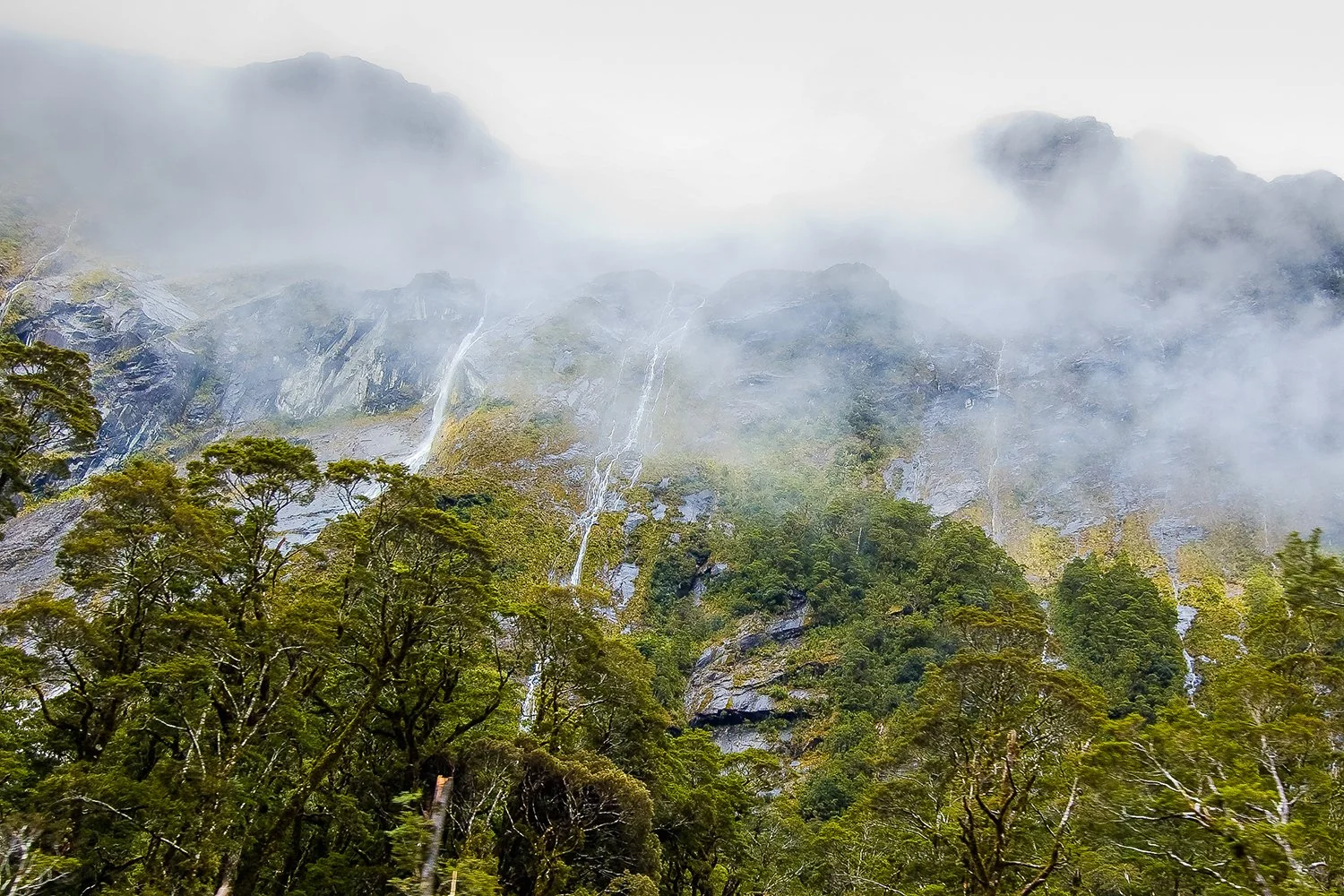 Misty mountain landscape with green trees and small waterfalls.