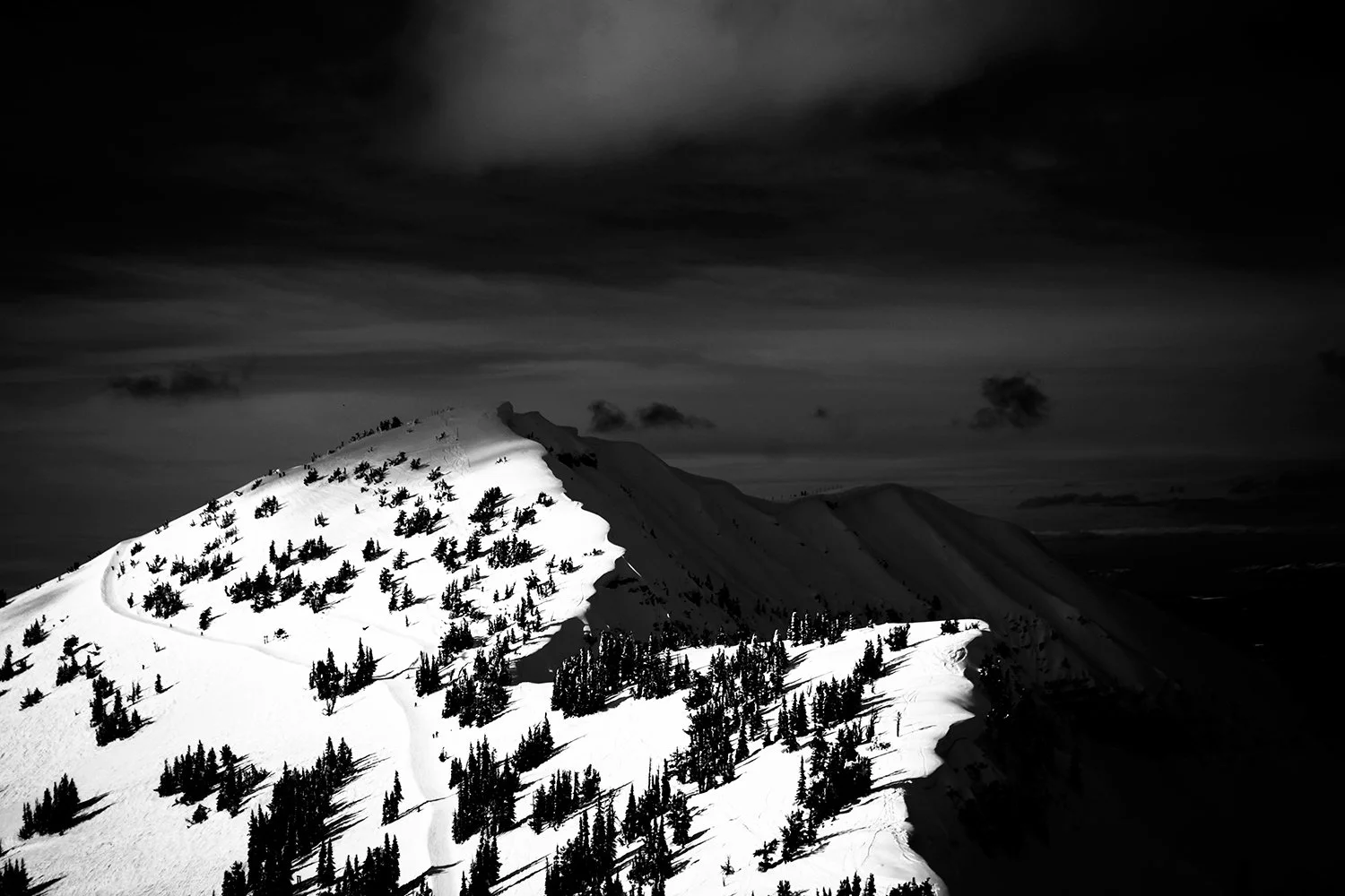 A black and white photo of a snowy mountain ridge with scattered pine trees, under a dark, cloudy sky.