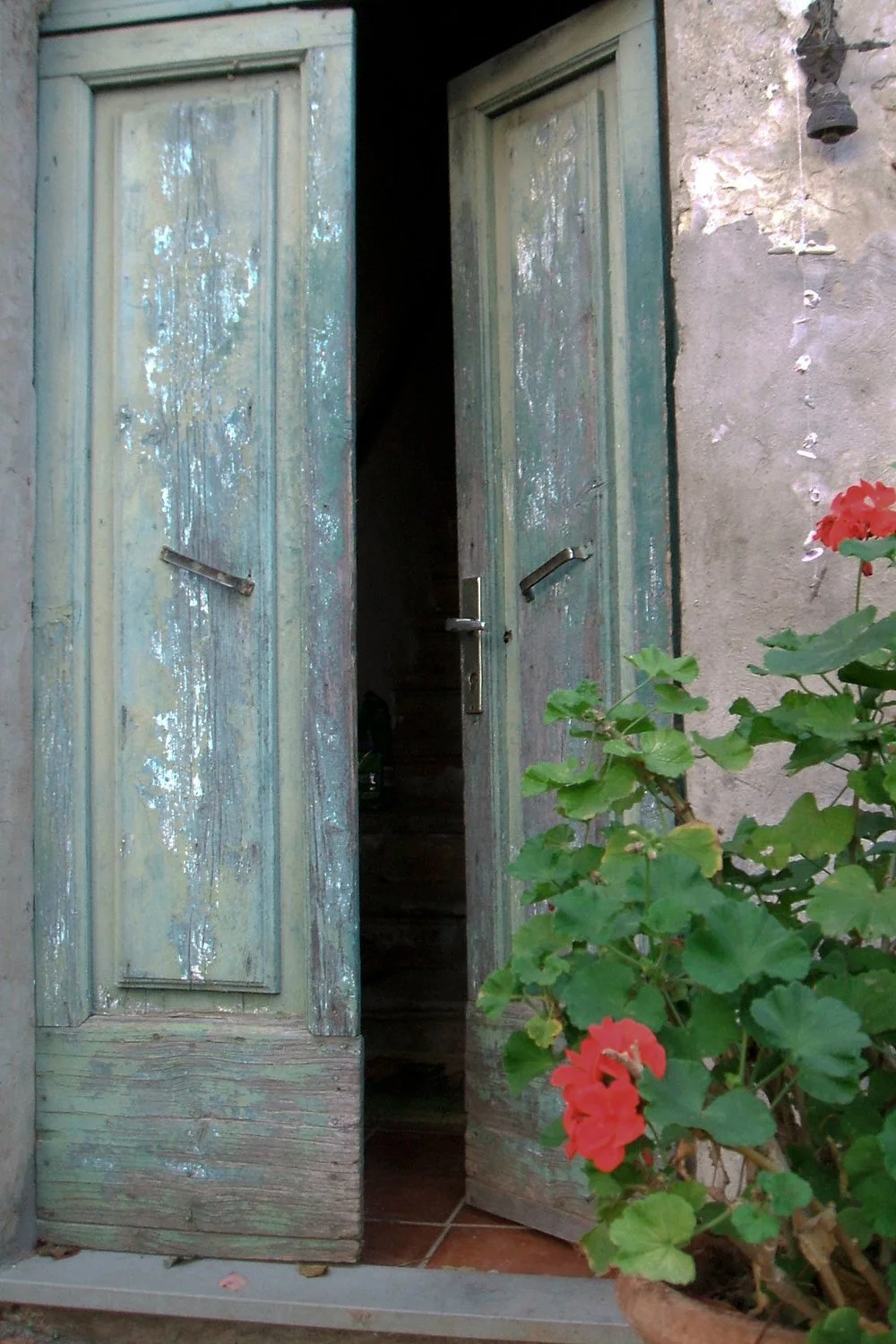 An old, weathered wooden door painted in faded, peeling green opens to a staircase leading inside a rustic building, with a potted plant with red flowers in the foreground.