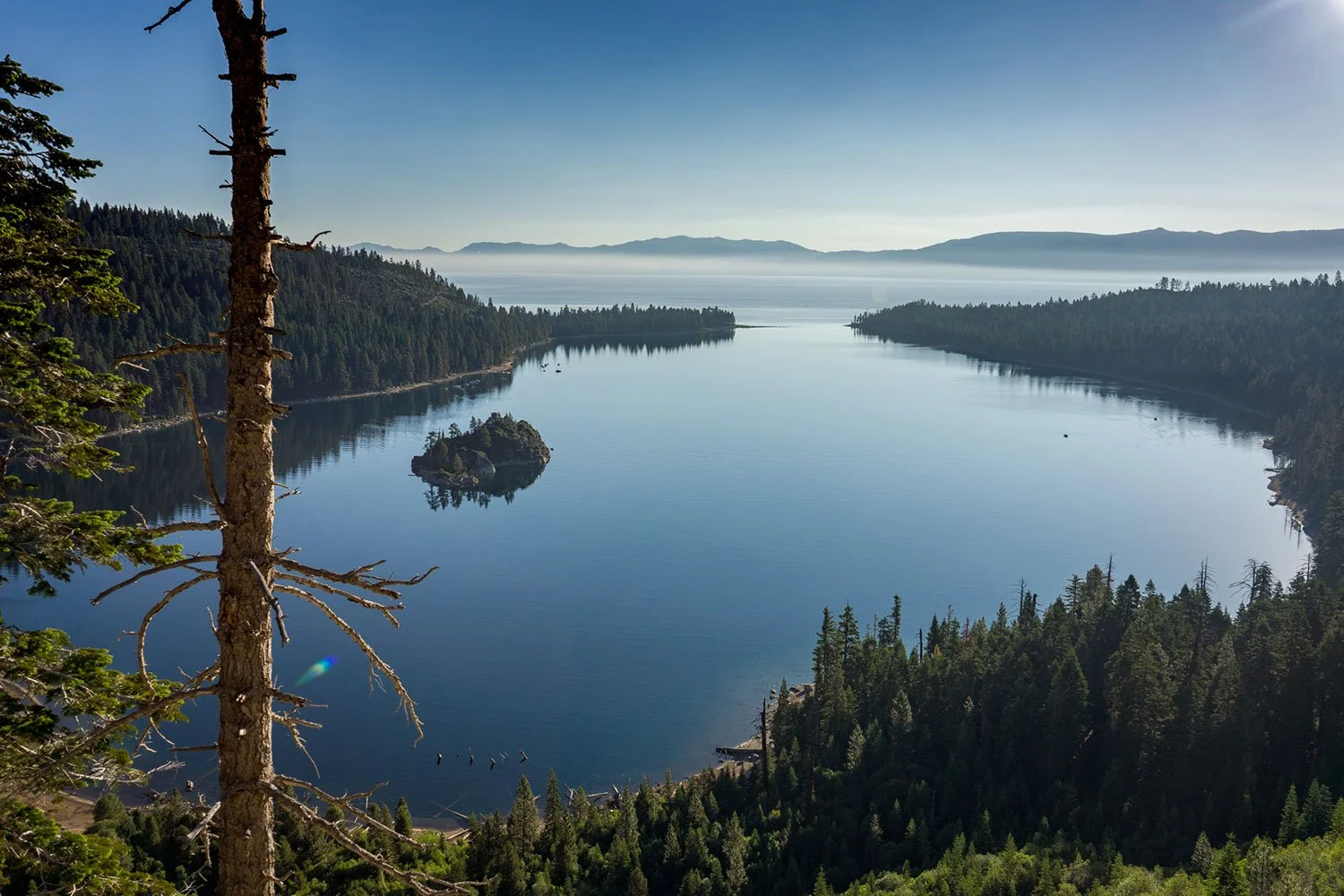 A large body of calm water surrounded by dense evergreen forests, with a small island in the middle, and distant mountains in the background under a clear blue sky.