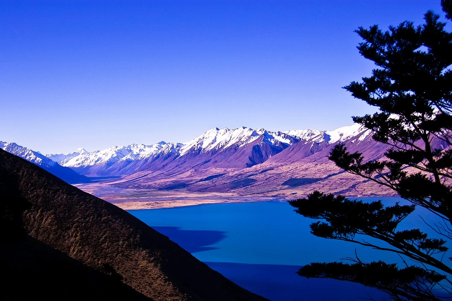 Scenic landscape of snow-capped mountains, a blue lake, and a clear blue sky with silhouettes of trees in the foreground.