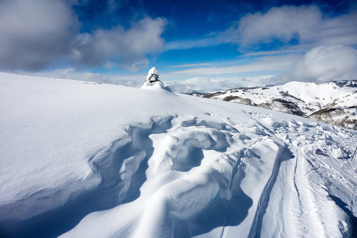 Snow-covered landscape with a trail and a snow-laden tree under a partly cloudy sky.