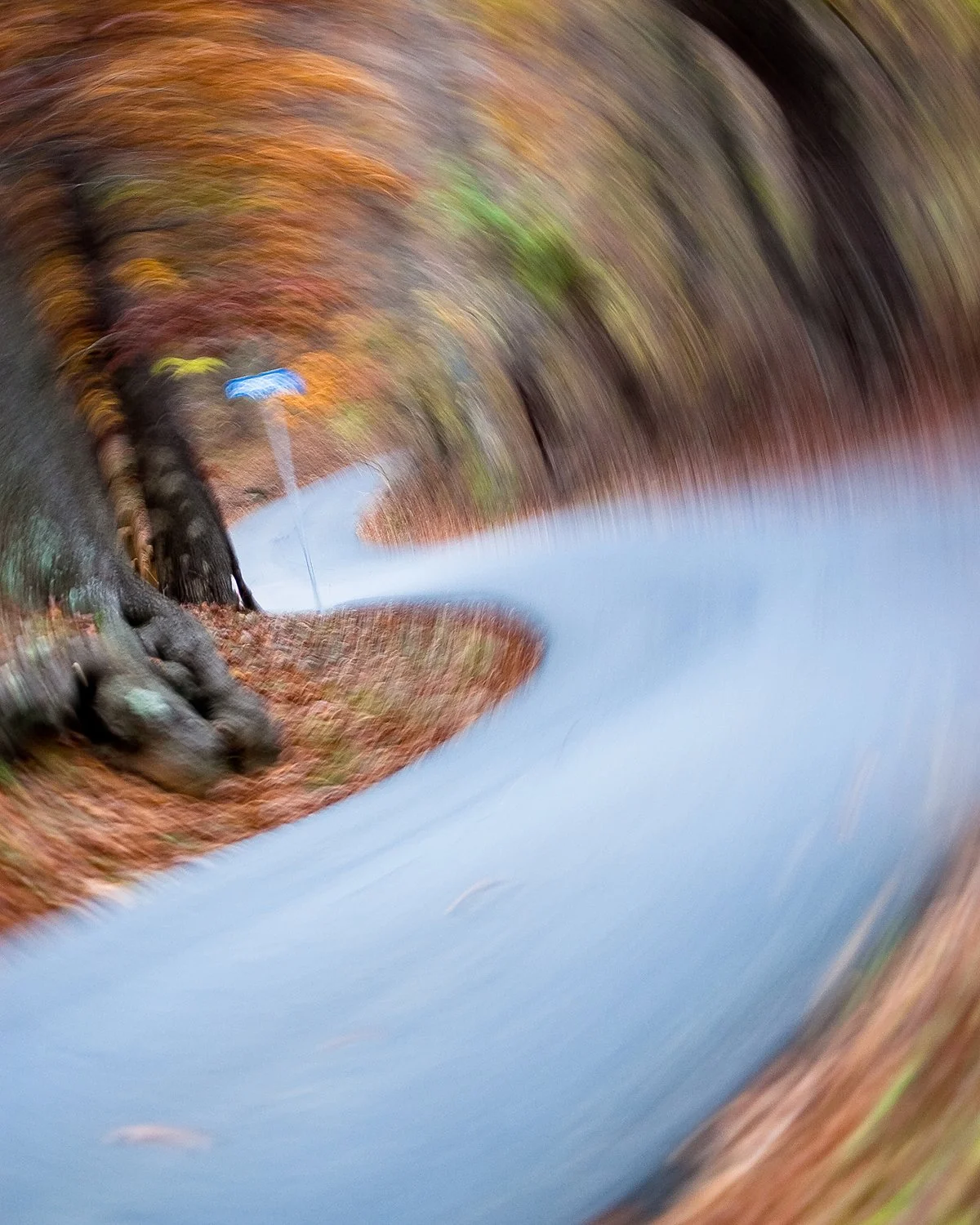 Blurred image of a winding road through a park with trees and autumn foliage.