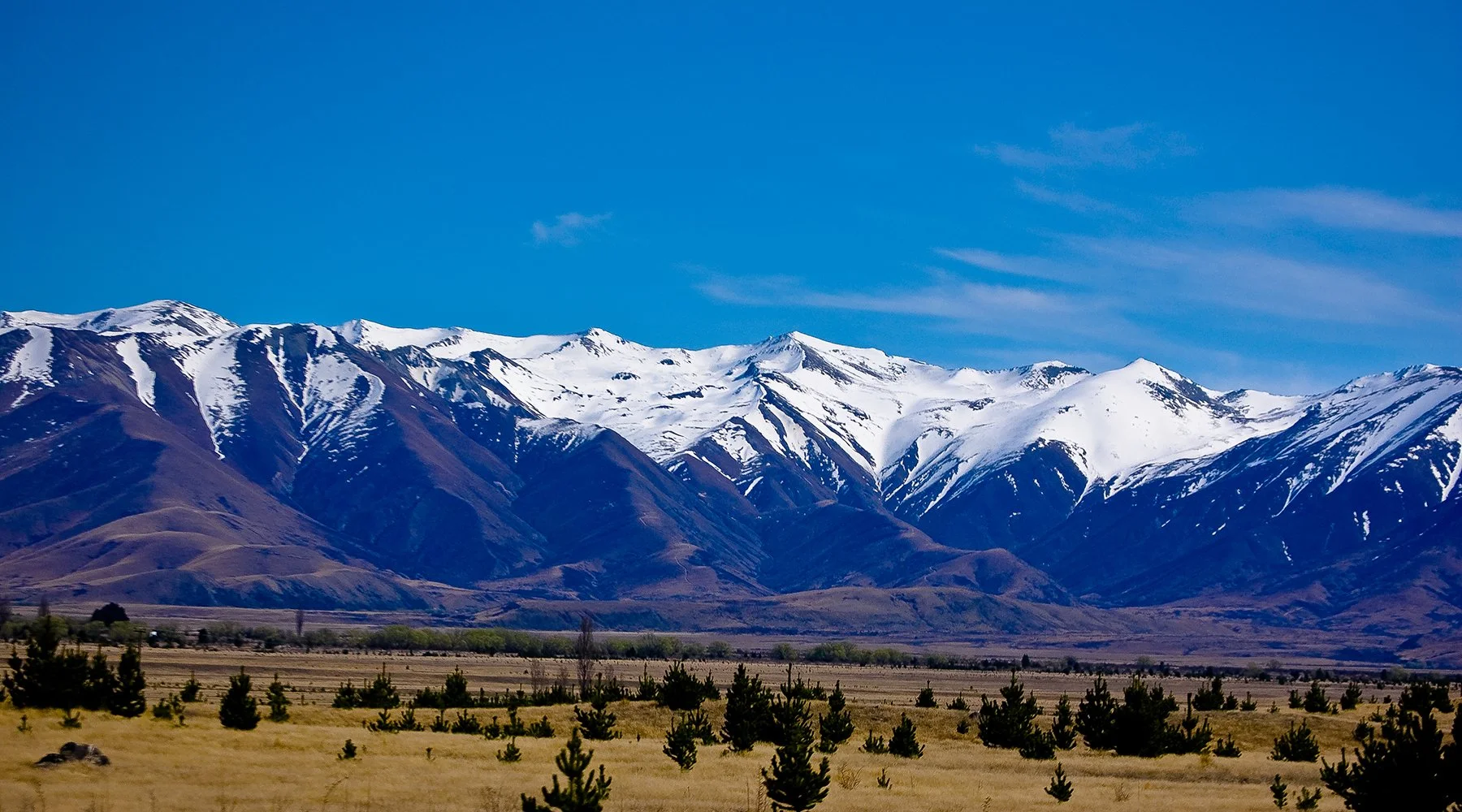 Snow-capped mountains against a clear blue sky with a grassy plain and sparse trees in the foreground.