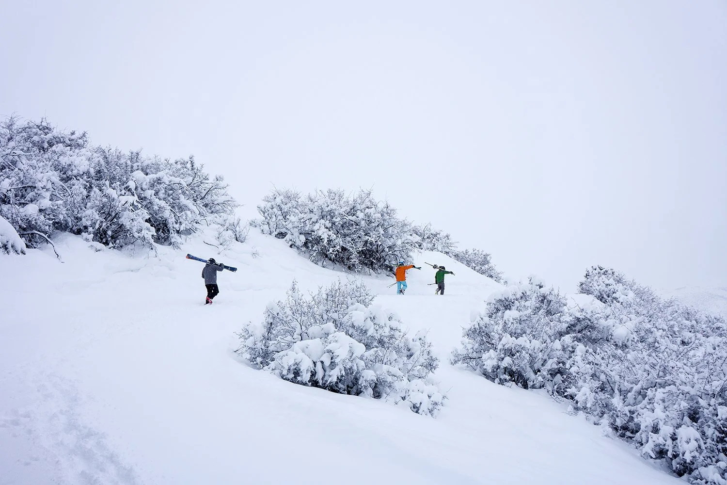 Three people walking through a snowy hillside with snow-covered trees, carrying skis on their shoulders.