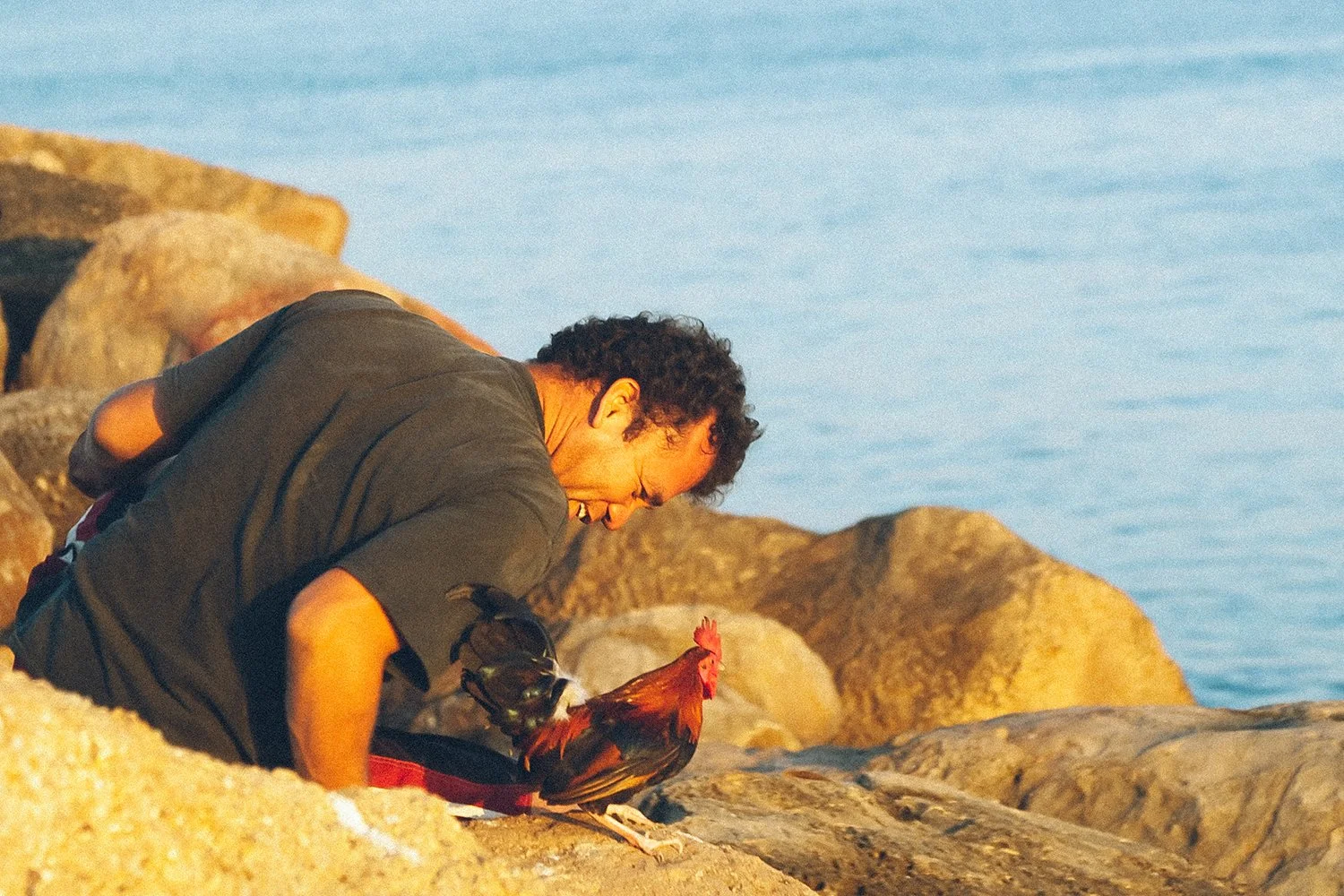 A man with curly hair in a black shirt crouches on rocks by the water, smiling and looking at a rooster standing nearby.