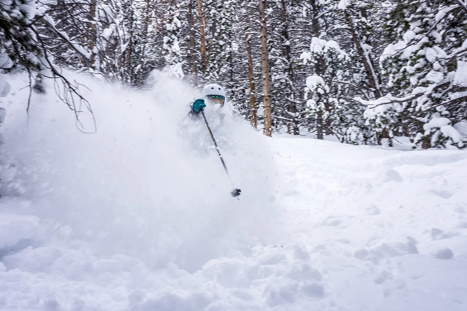 Person wearing a helmet and goggles skiing through deep snow in a forested area with snow-covered trees.