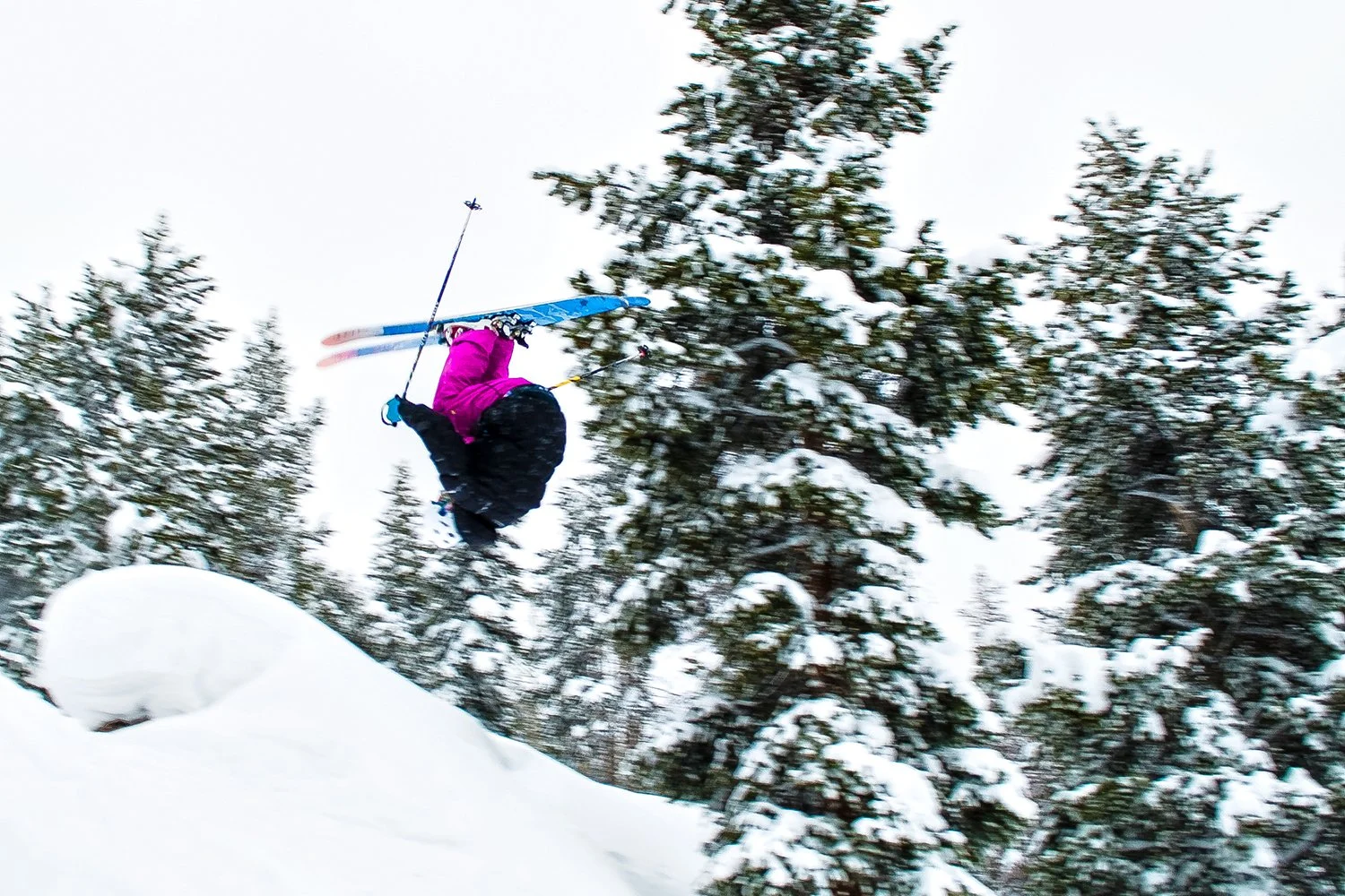 A person wearing a pink jacket and black pants is mid-air, flipping while skiing through a snowy forest.