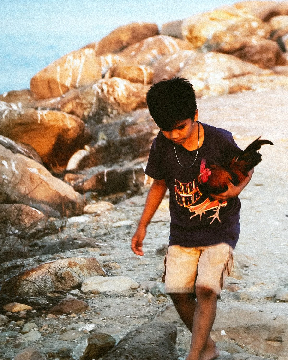 A young boy walking along a rocky beach holding a chicken.