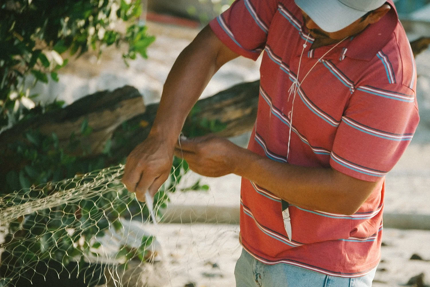 A man in a red striped shirt and blue shorts is repairing a chicken wire enclosure outside near a bush.