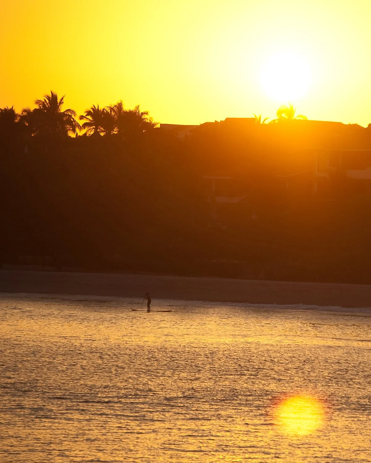Sunset over the ocean with silhouetted palm trees on a hillside and a person walking along the shore.