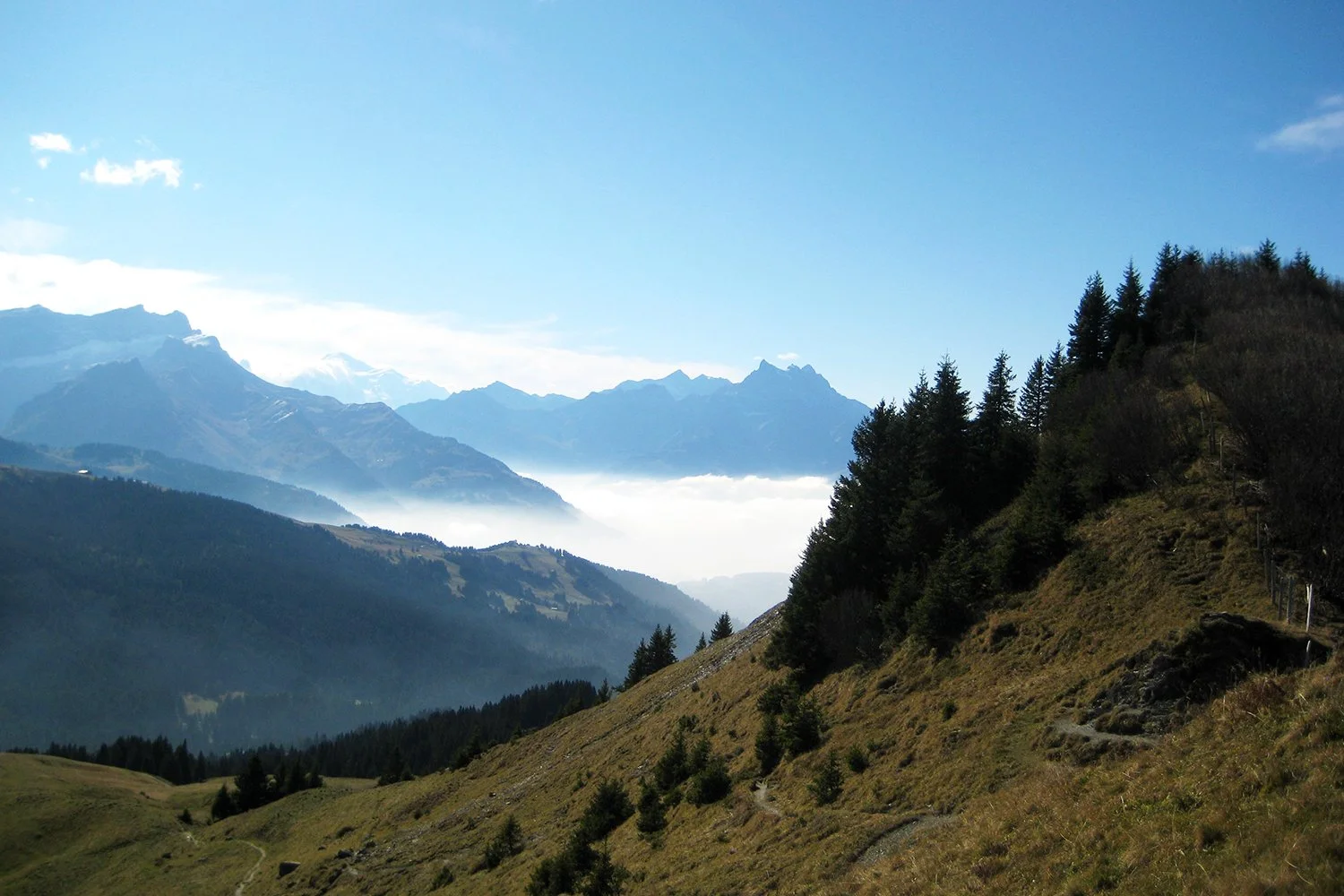 Mountain landscape with rolling green hills, dense forest, and distant snow-capped peaks under a blue sky with some clouds.
