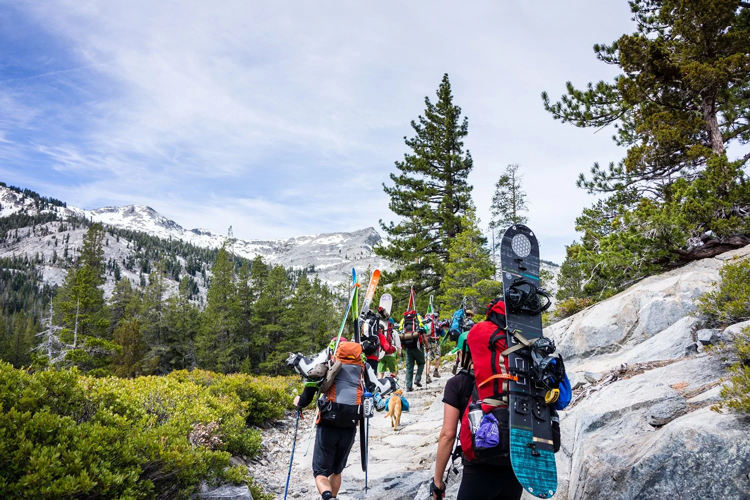 Group of hikers trekking through a mountainous forest trail with snow-capped peaks in the background.
