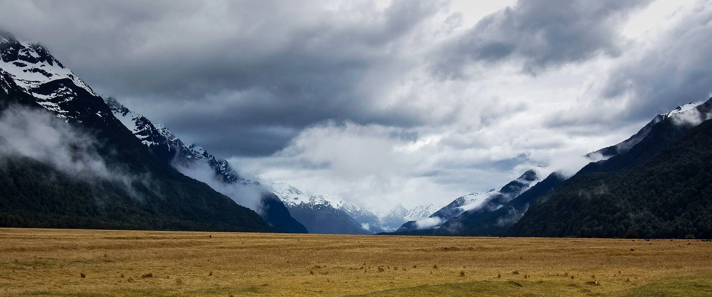 Yellow field in the foreground with snow-capped mountains and dark cloudy sky in the background.