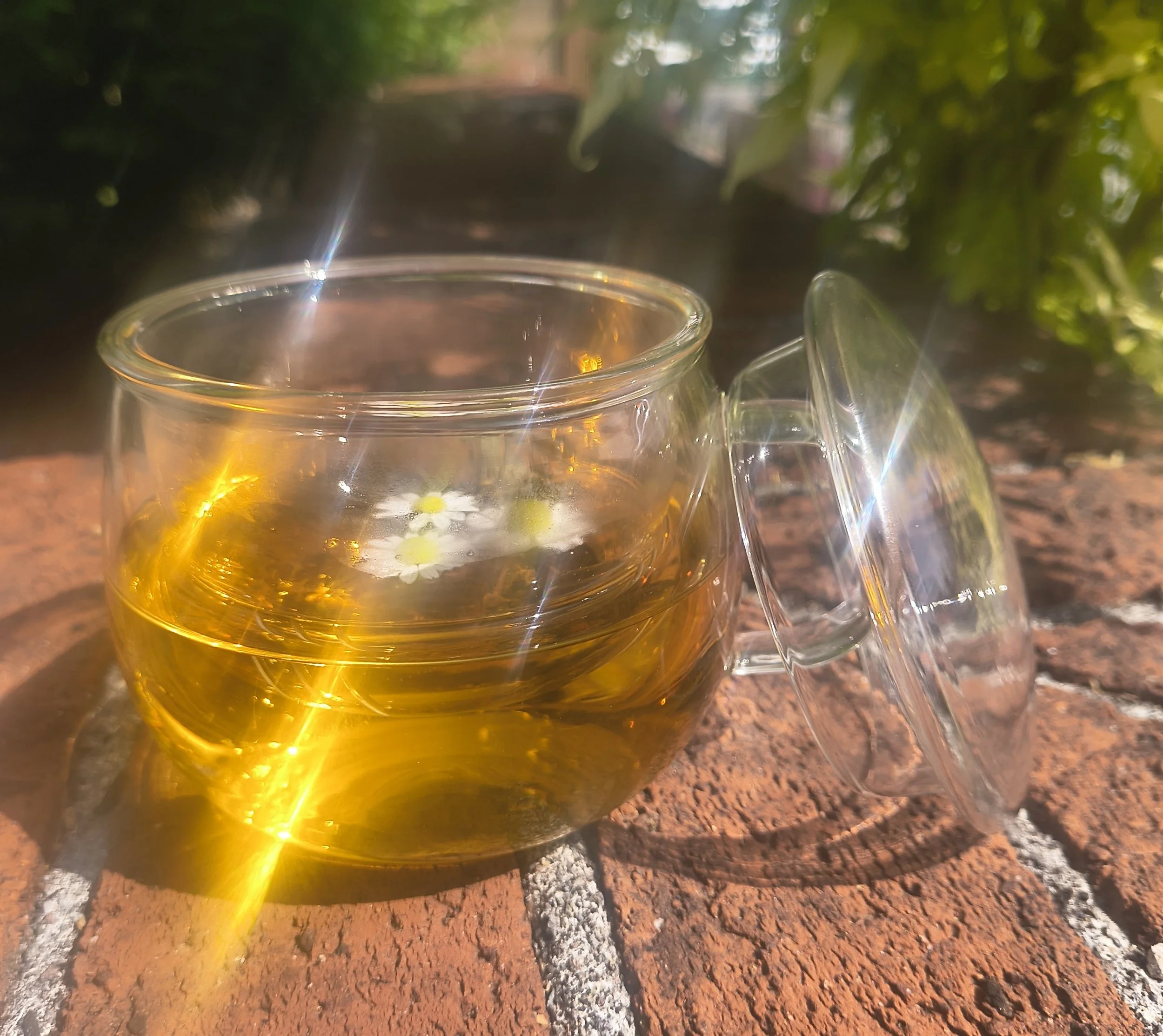 Glass Tea Mug with Infuser and Lid