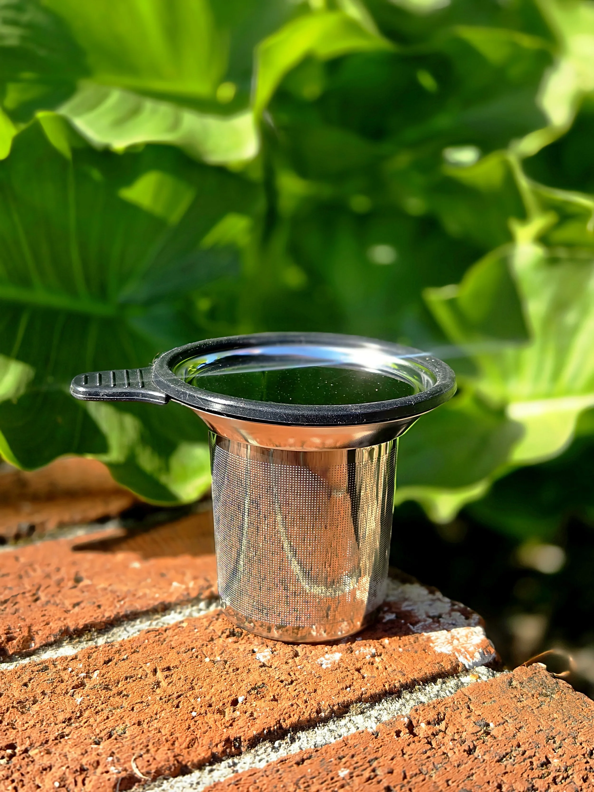 infuser brick2.jpg