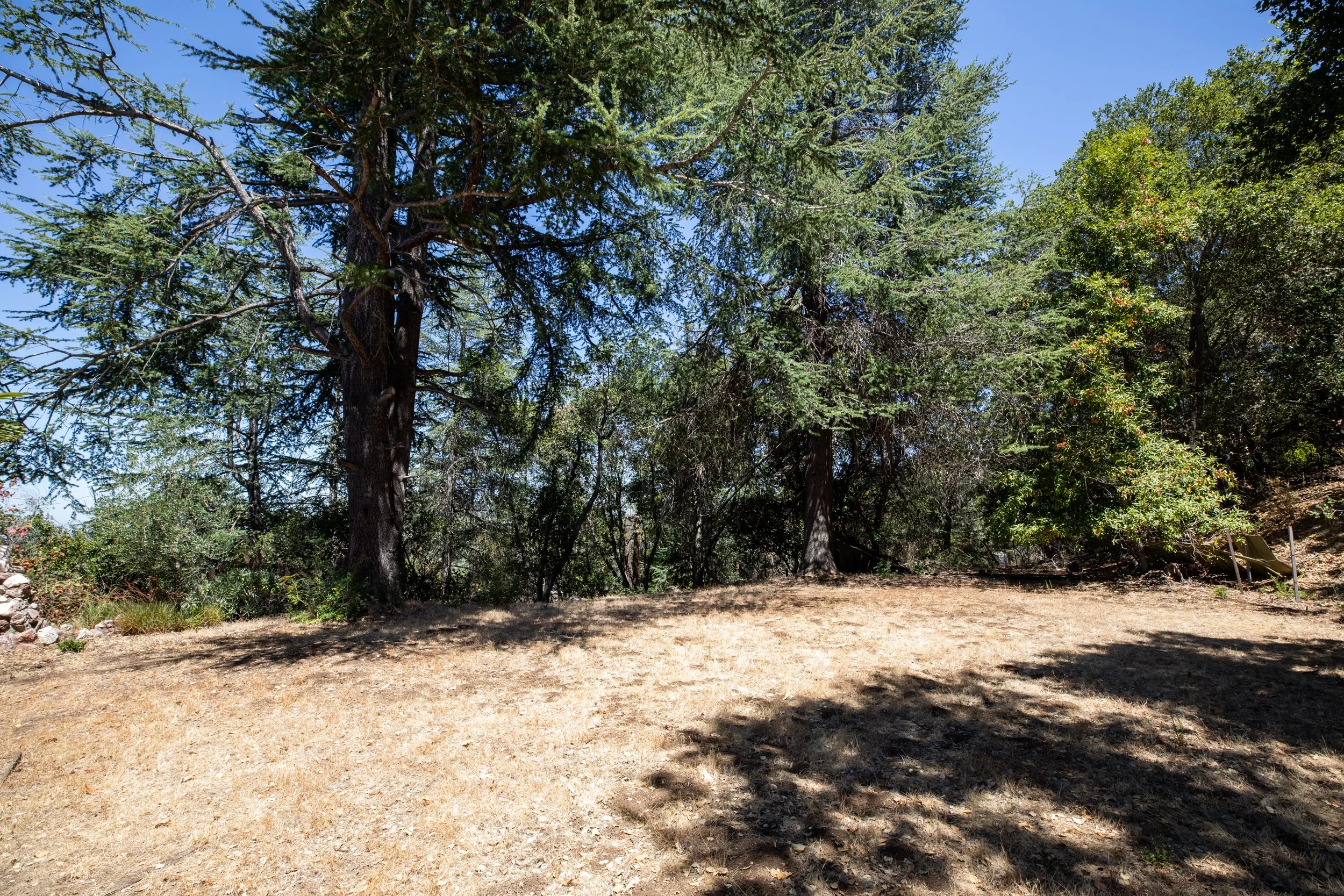 7-Summit_Matt_Anello-1694-MLS.jpg