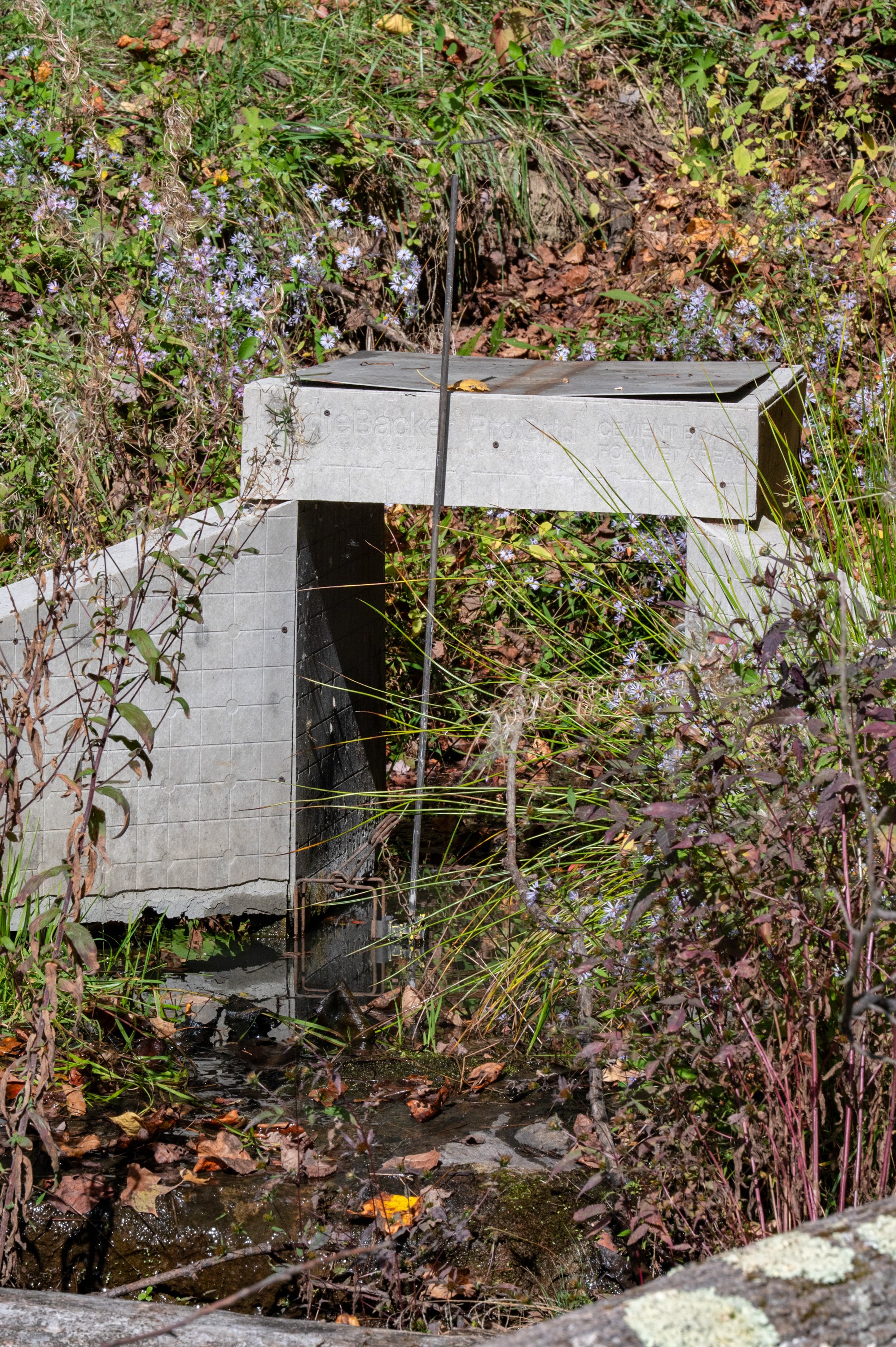 MinkTrapping_MintoberFest2025_-33.jpg