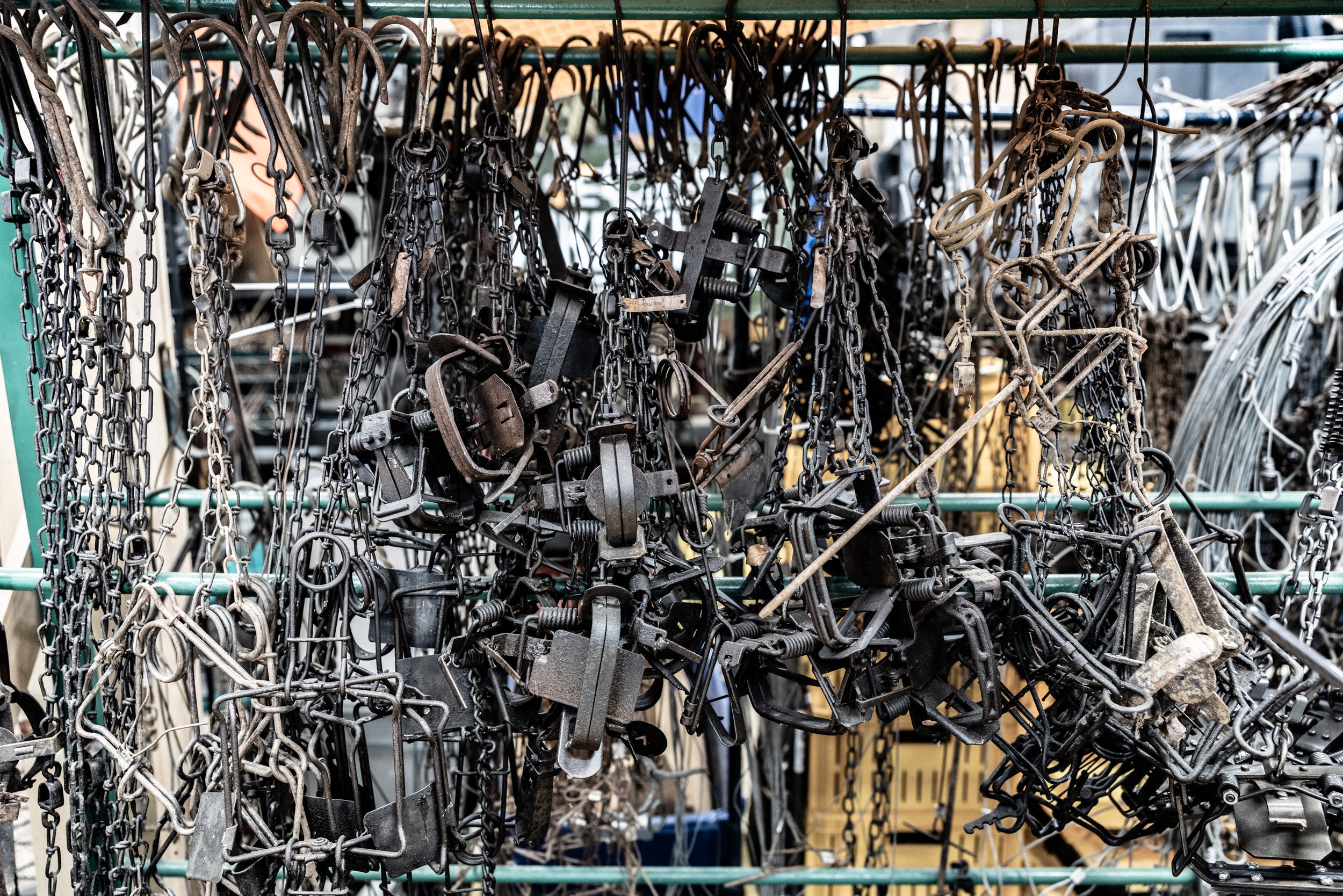A display of various metal chains, locks, and hardware hanging on a rack at a hardware store.