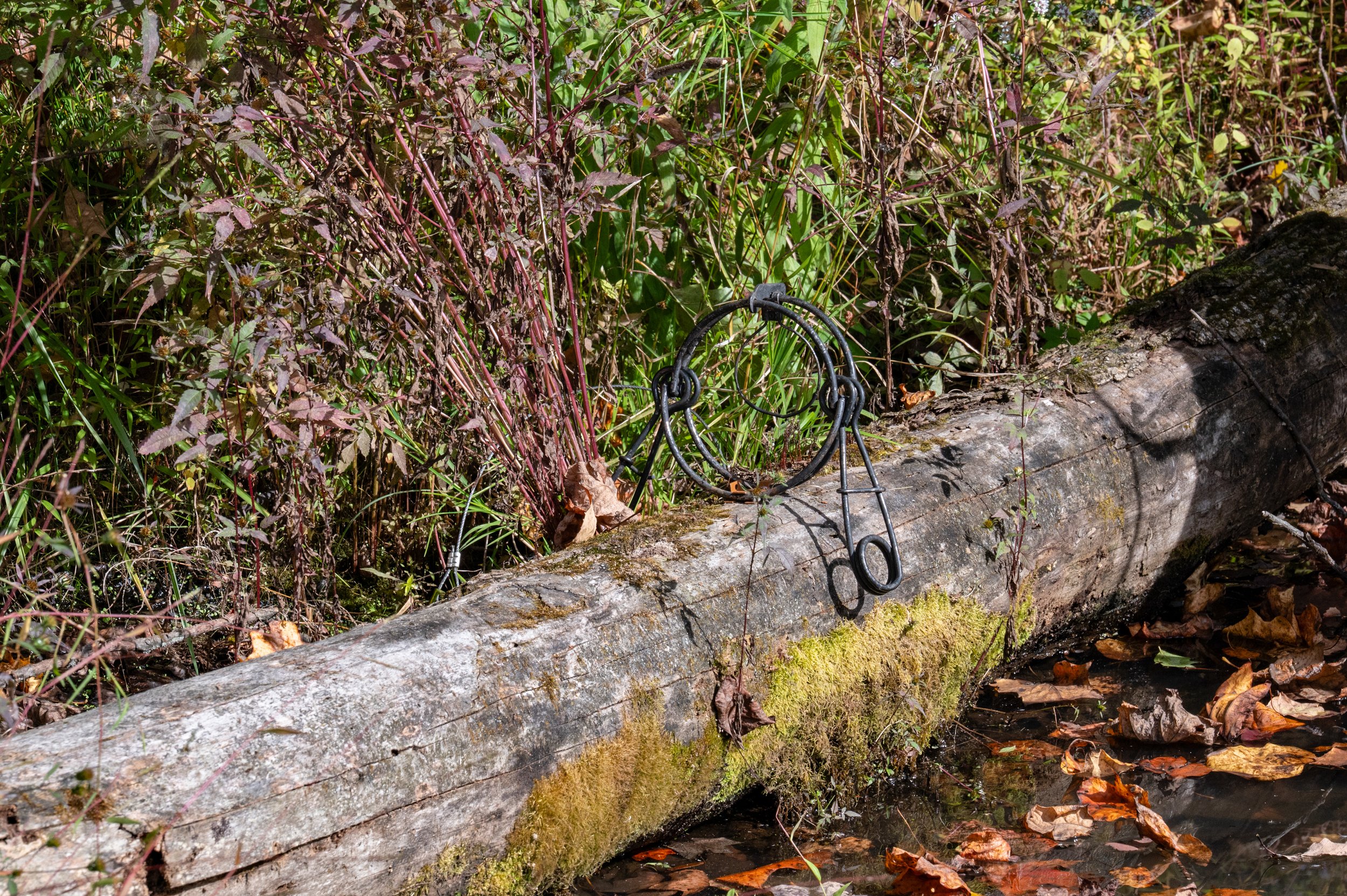 MinkTrapping_MintoberFest2025_-37.jpg