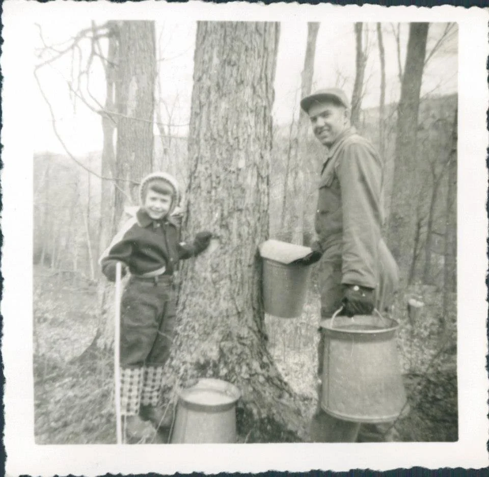A boy and a man in a forest collecting sap from a tree using buckets.