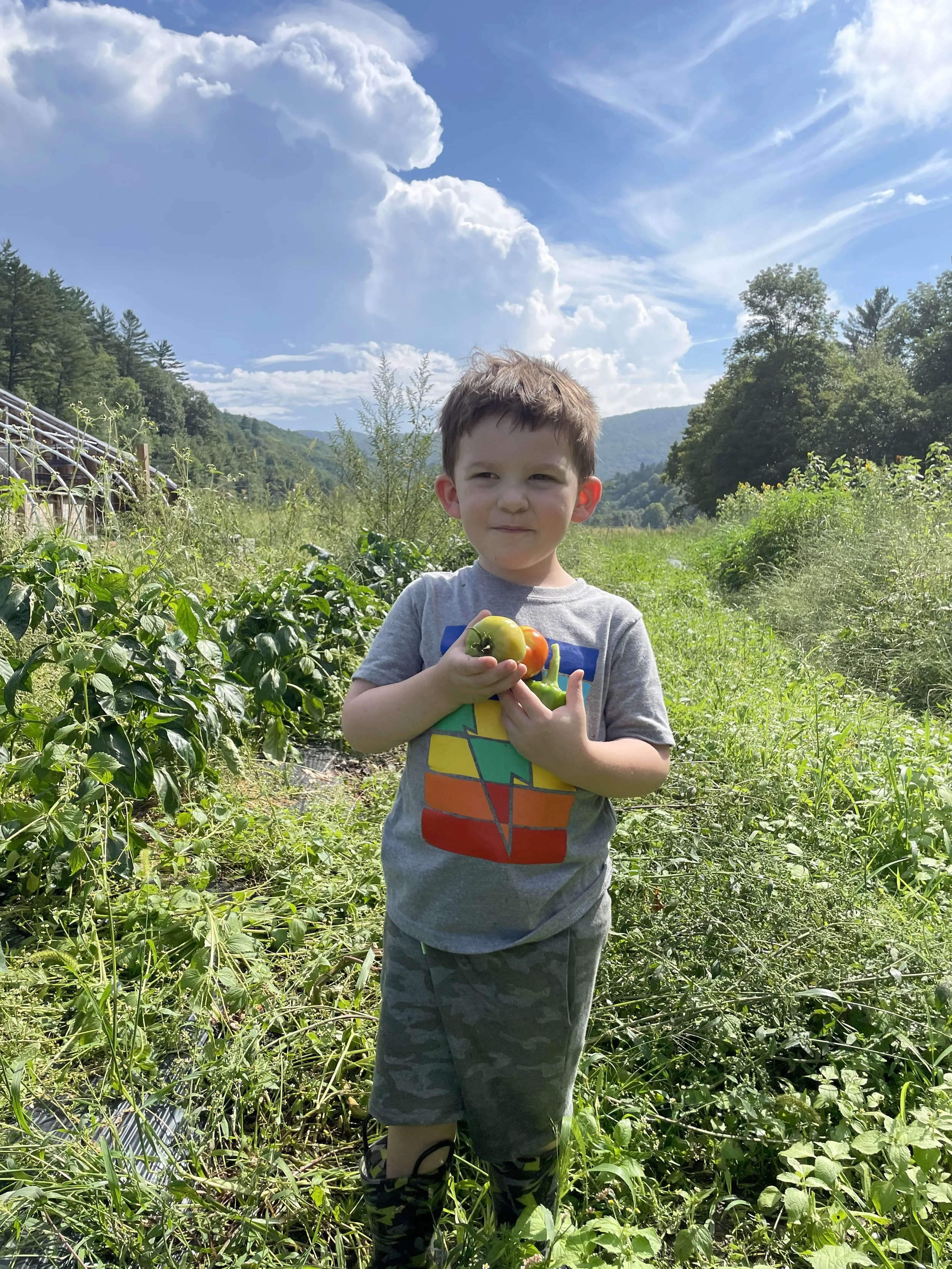 IMG_0980 3.jpeg