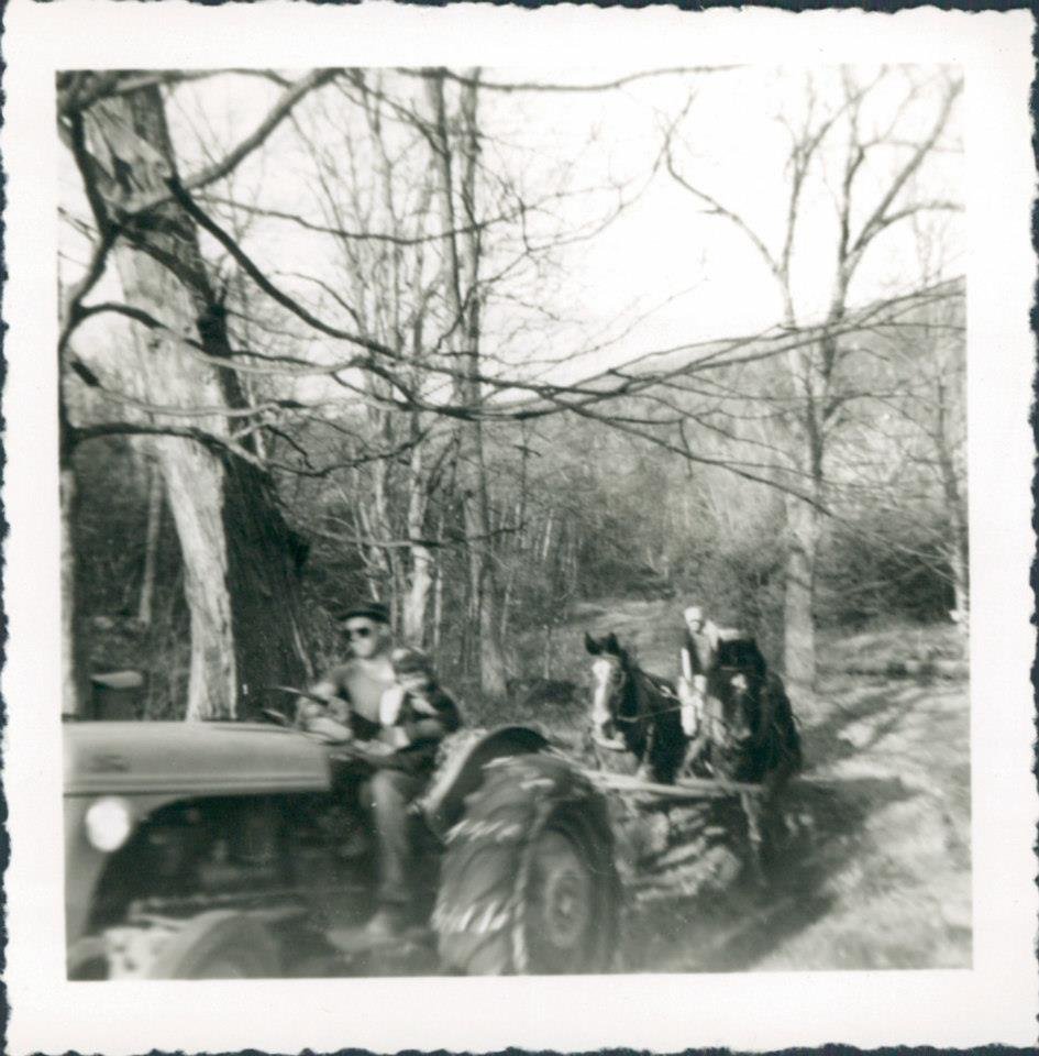 Black and white photo of a tractor pulling a two-horse wagon through a wooded area with leafless trees, with two people riding on the wagon.