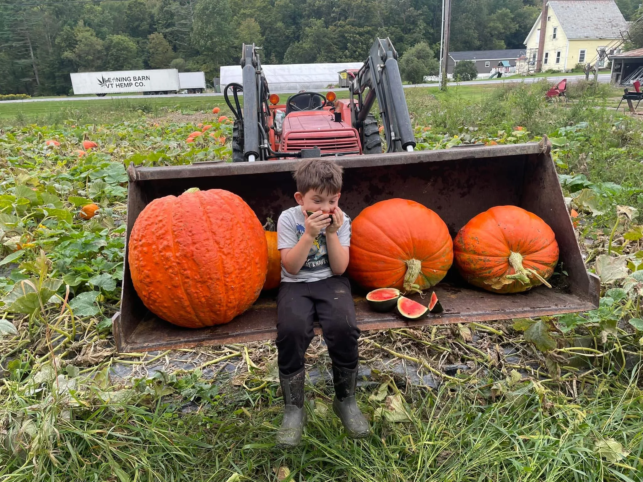 A young boy sitting on a pumpkin-filled wooden cart in a pumpkin patch, with large pumpkins in front of him and farm fields and trees in the background.