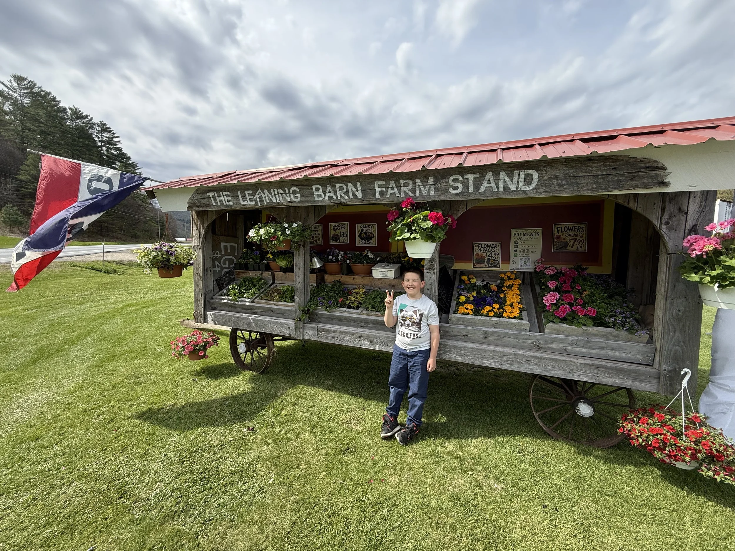 A boy stands in front of a flower stand with a sign that reads 'The Leaving Barn Farm Stand.' The stand is made of wood, with red and white decorations, and is filled with potted flowers and plants. The boy is making a peace sign with his hand and is smiling. The sky is partly cloudy, and there are trees in the background.