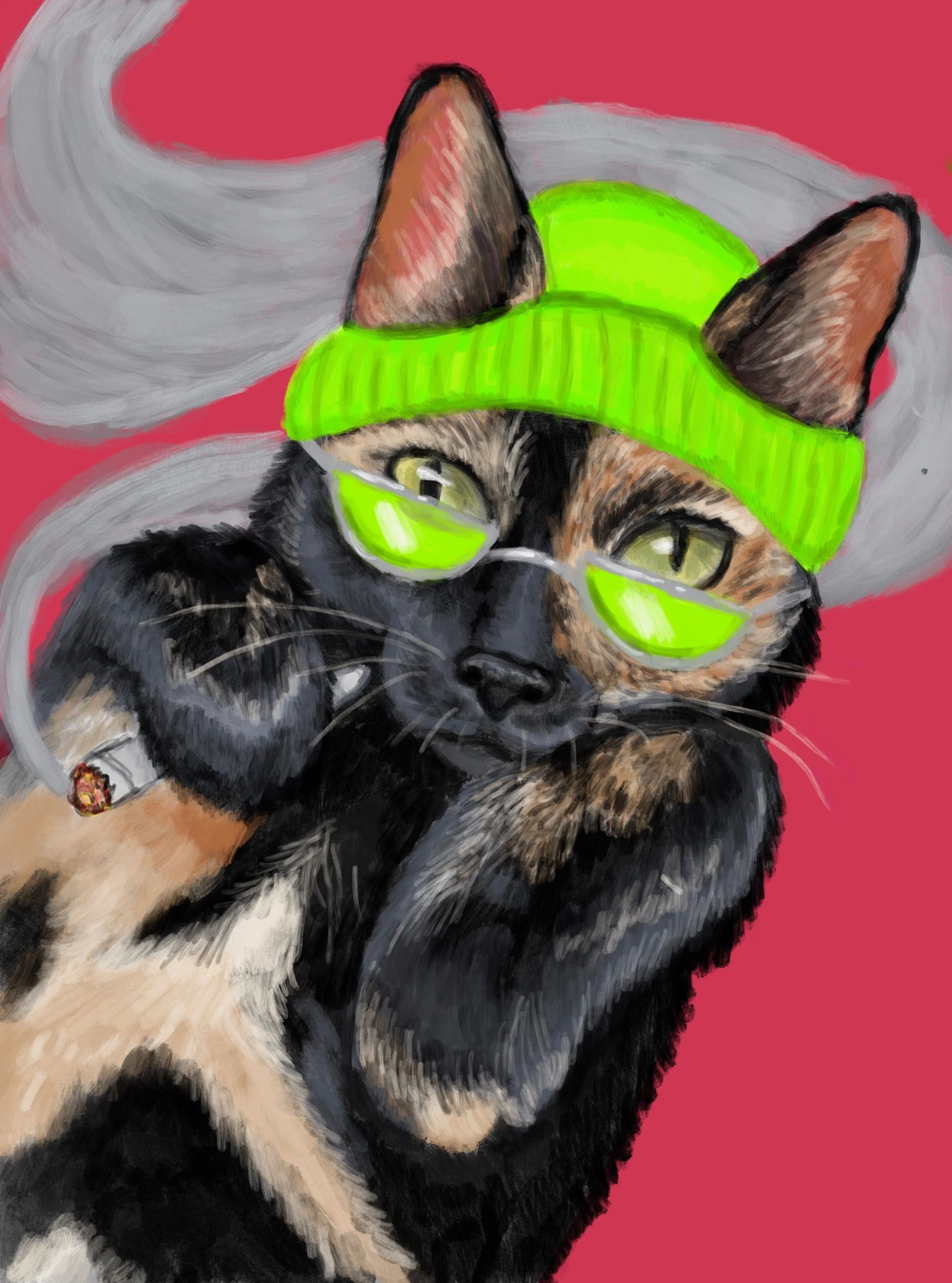 Missy_Thee_Cat.jpeg