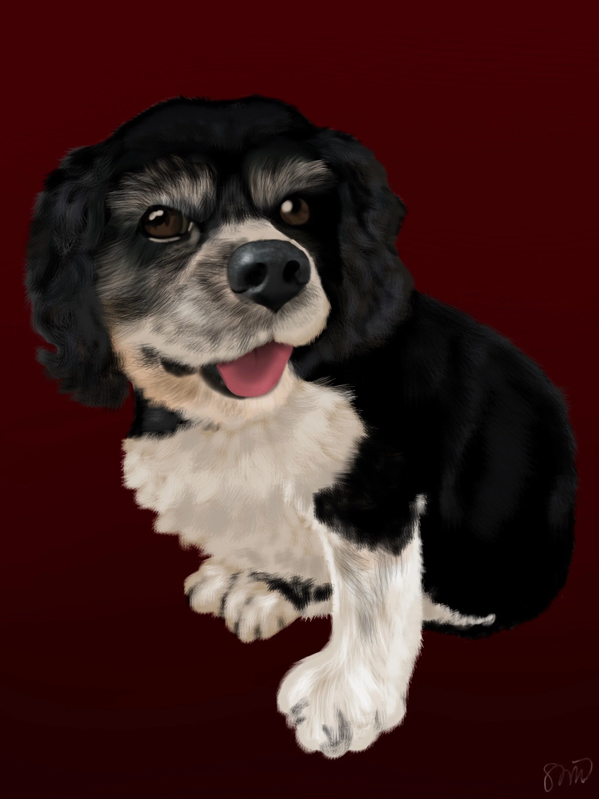 Felicia's_Dog.jpeg