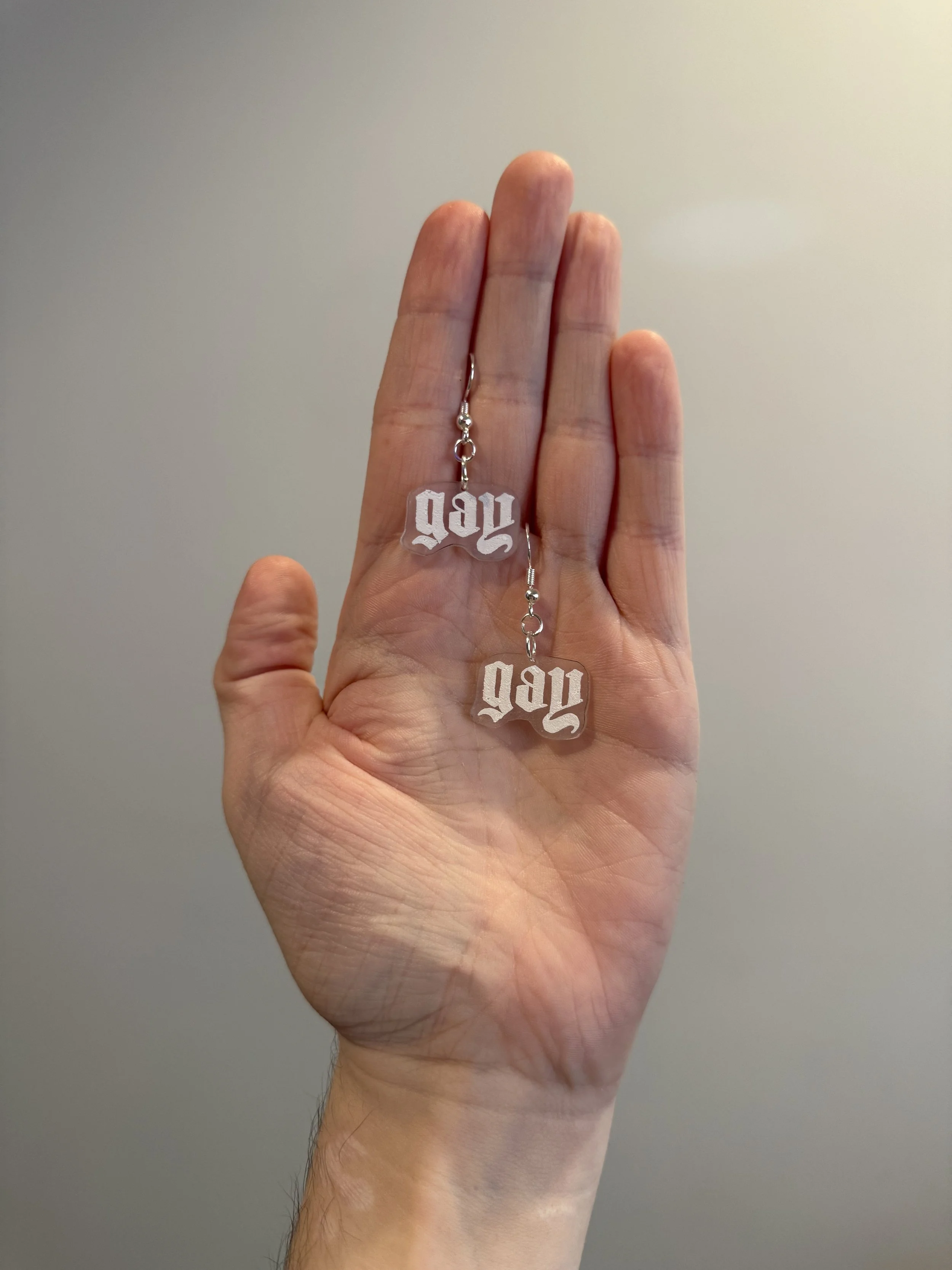 gay earrings - $25