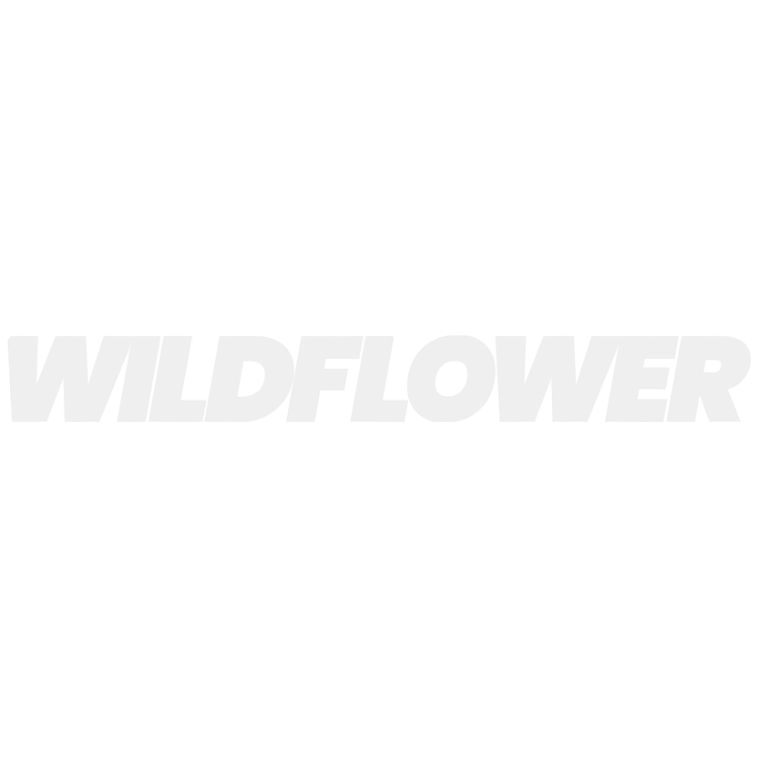 Black background with the word 'WILDFLOWER' in bold white uppercase letters.