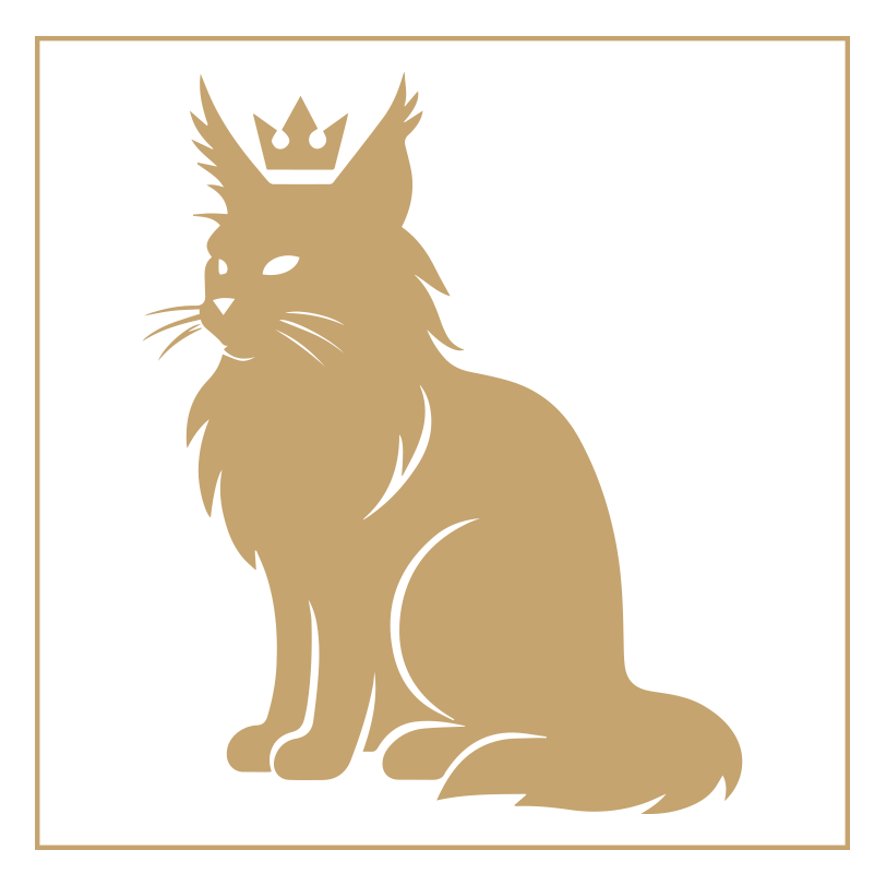 MOUNTAIN MONARCH MAINE COONS