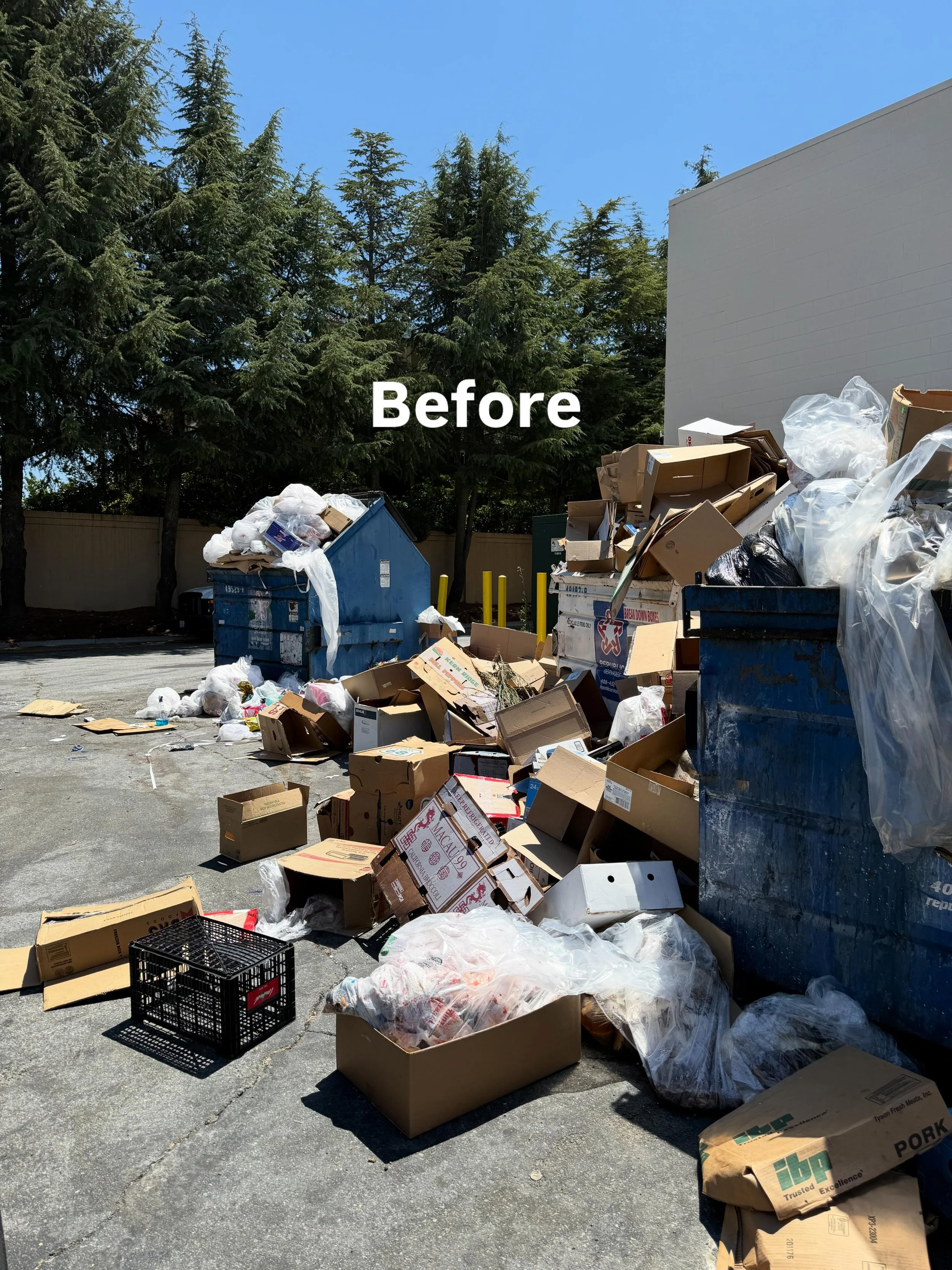 Some calls aren&rsquo;t glamorous. But when a dumpster enclosure is overflowing with trash, it makes the whole property look unmanaged.
We got the call. We handled it.
That&rsquo;s what we&rsquo;re here for &mdash; the jobs that need to get done so y
