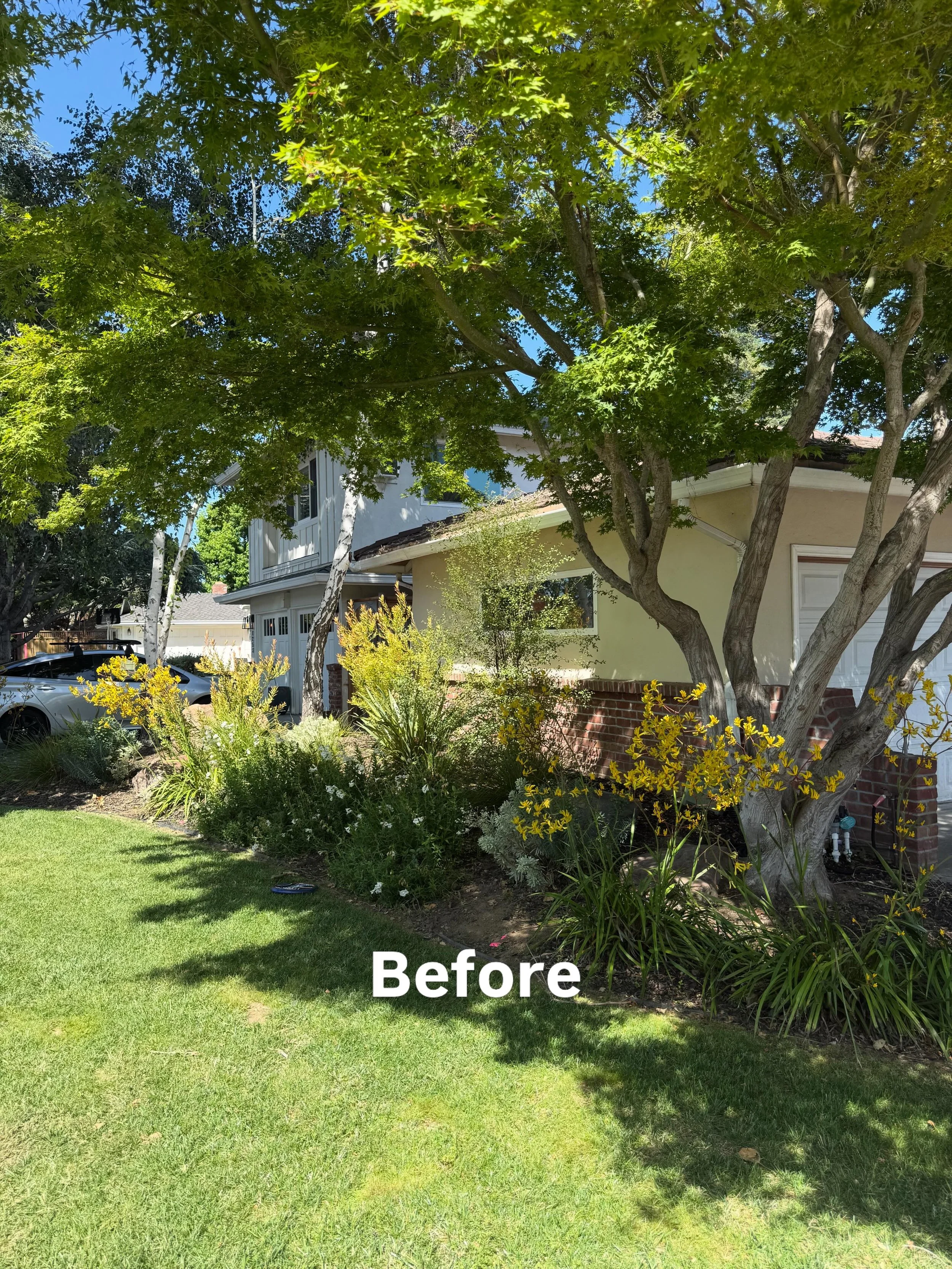 Before vs. After. A little attention goes a long way.
We keep your property sharp so you never have to think about it.
,📞(669) 661-1879 jjssmaintenance@gmail.com Free quotes &mdash; just reach out.
🍃JJSS Maintenance | San Jose &amp; Bay Area
#JJSSM