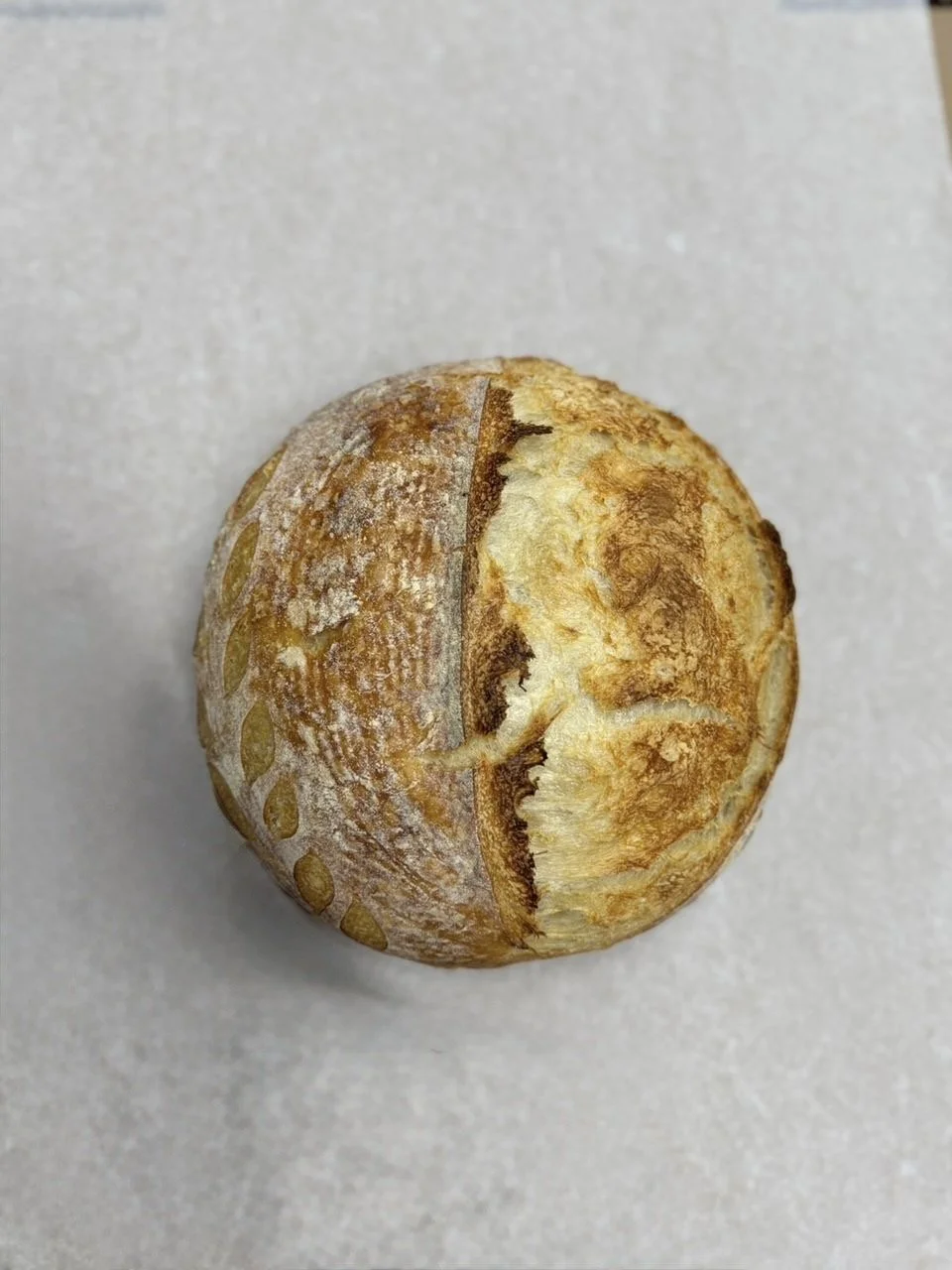 Sourdough Bread Plain
