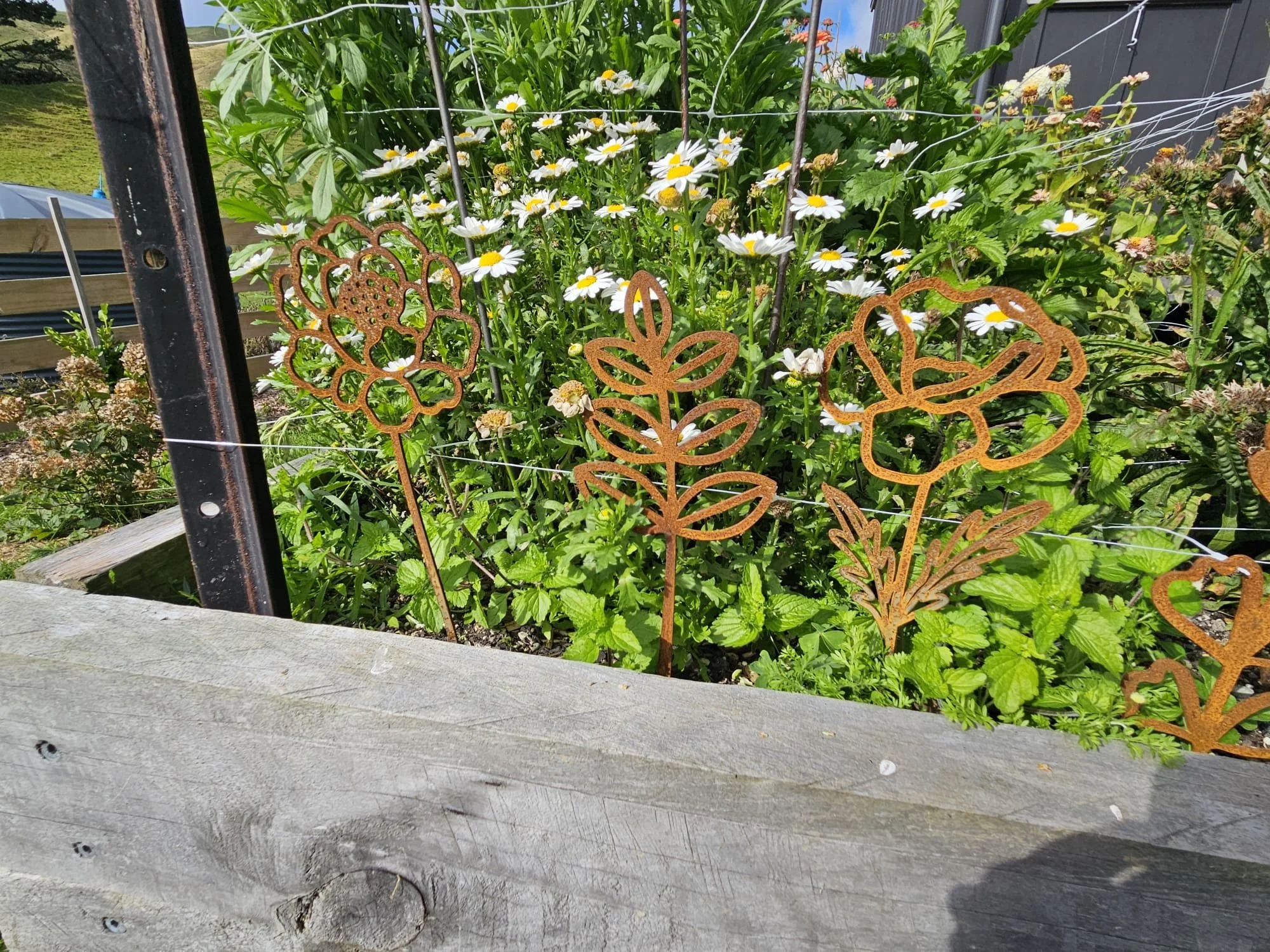 Small Flower Stems.jpg