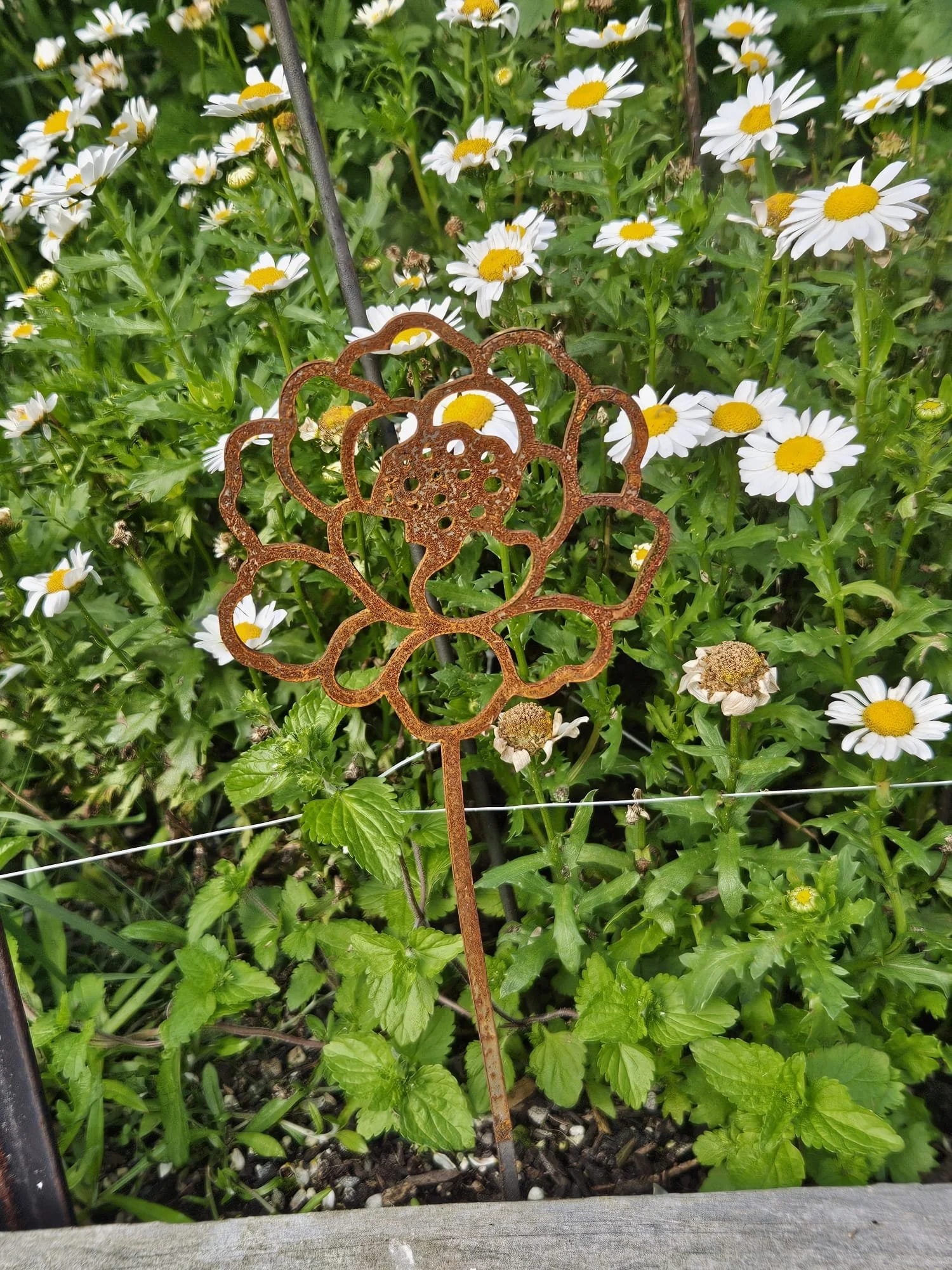 Small Flower Stem.jpg