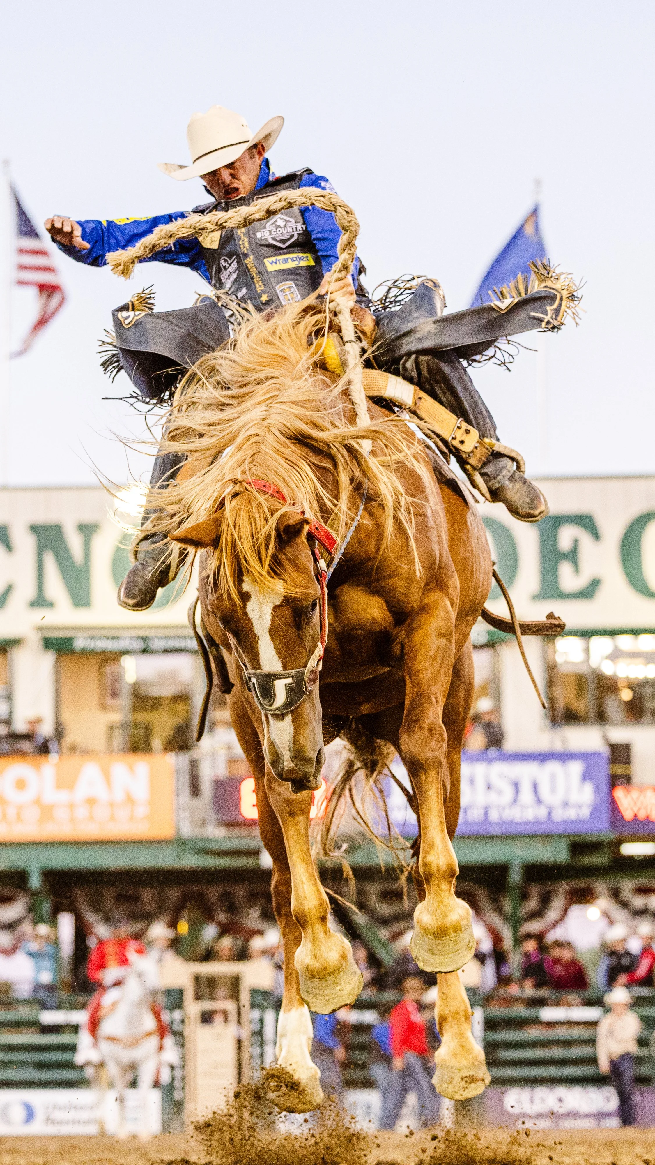 Rodeo-12.jpg