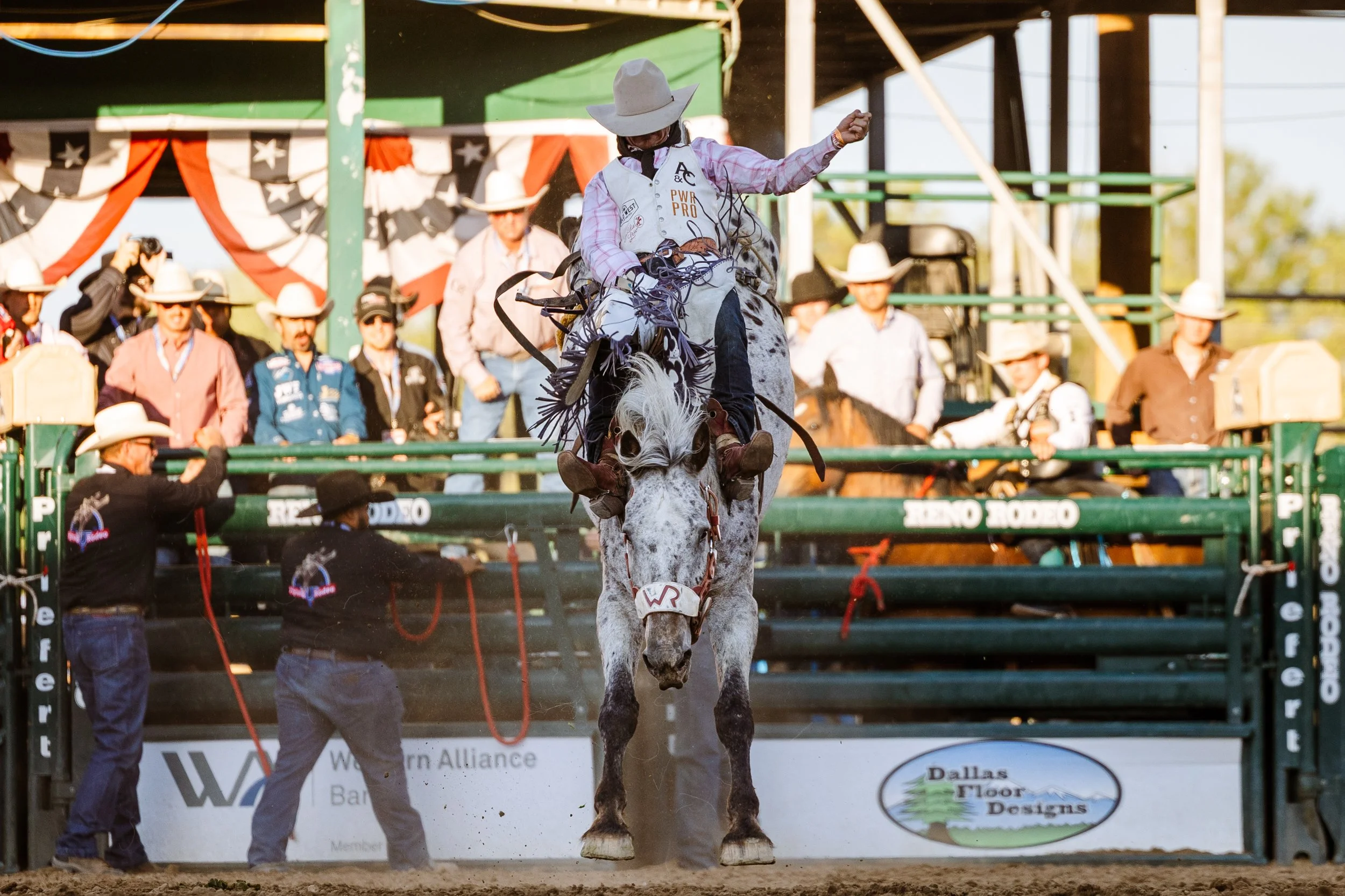Rodeo-4.jpg