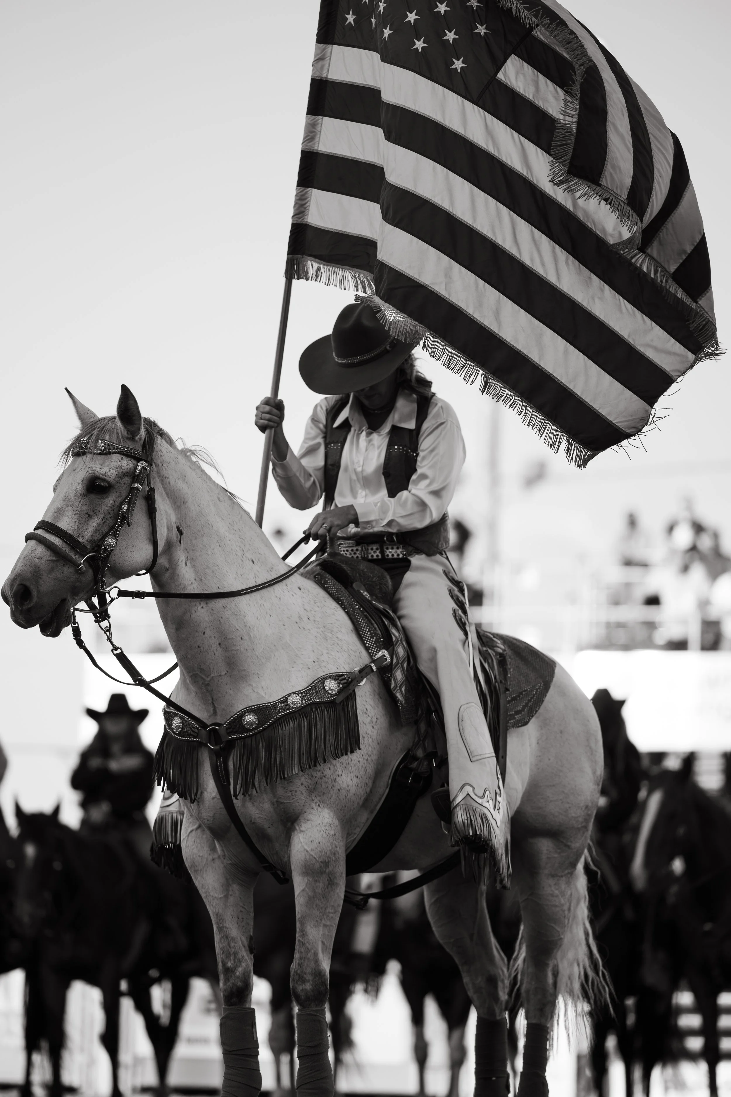 Rodeo.jpg