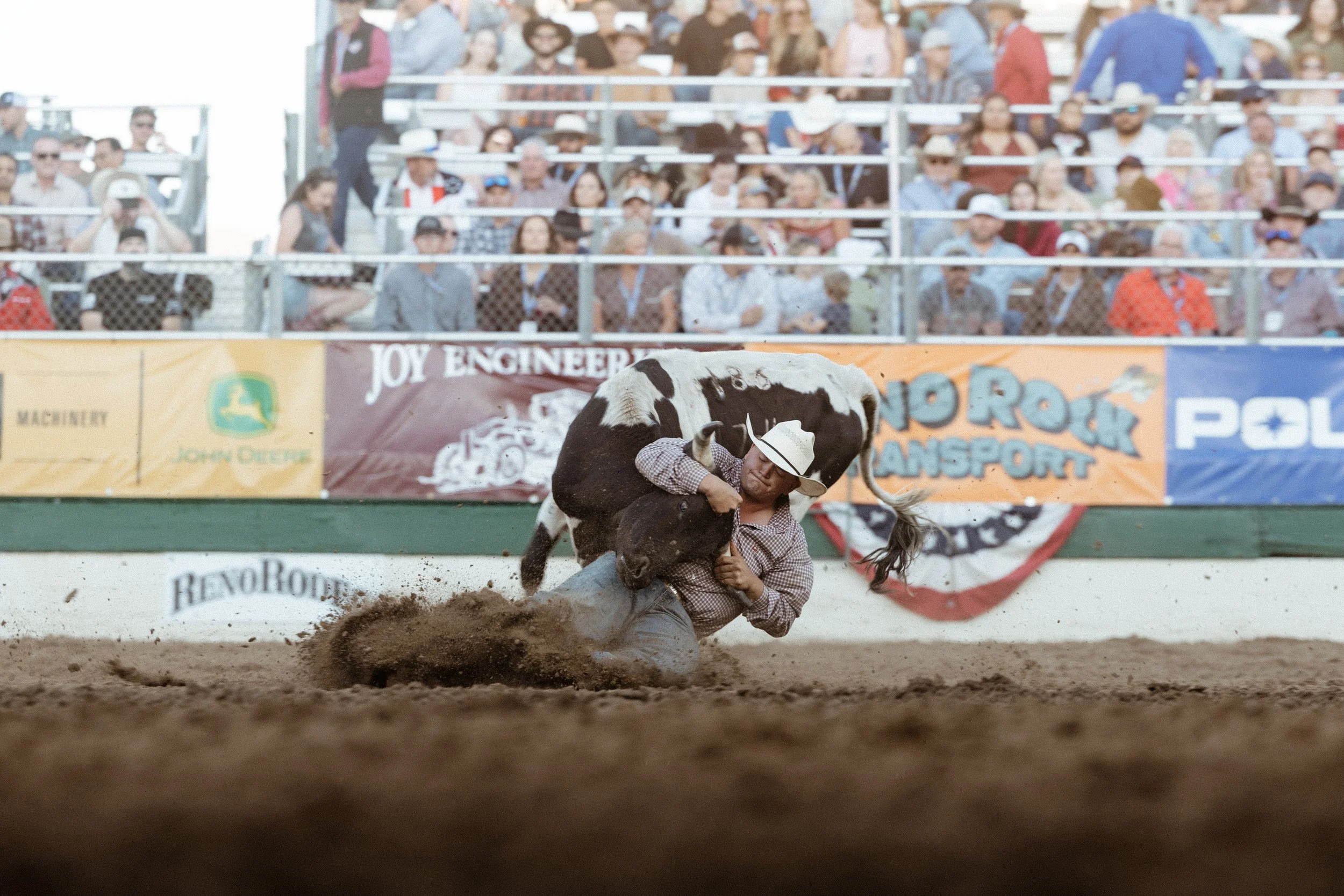 Rodeo-10.jpg