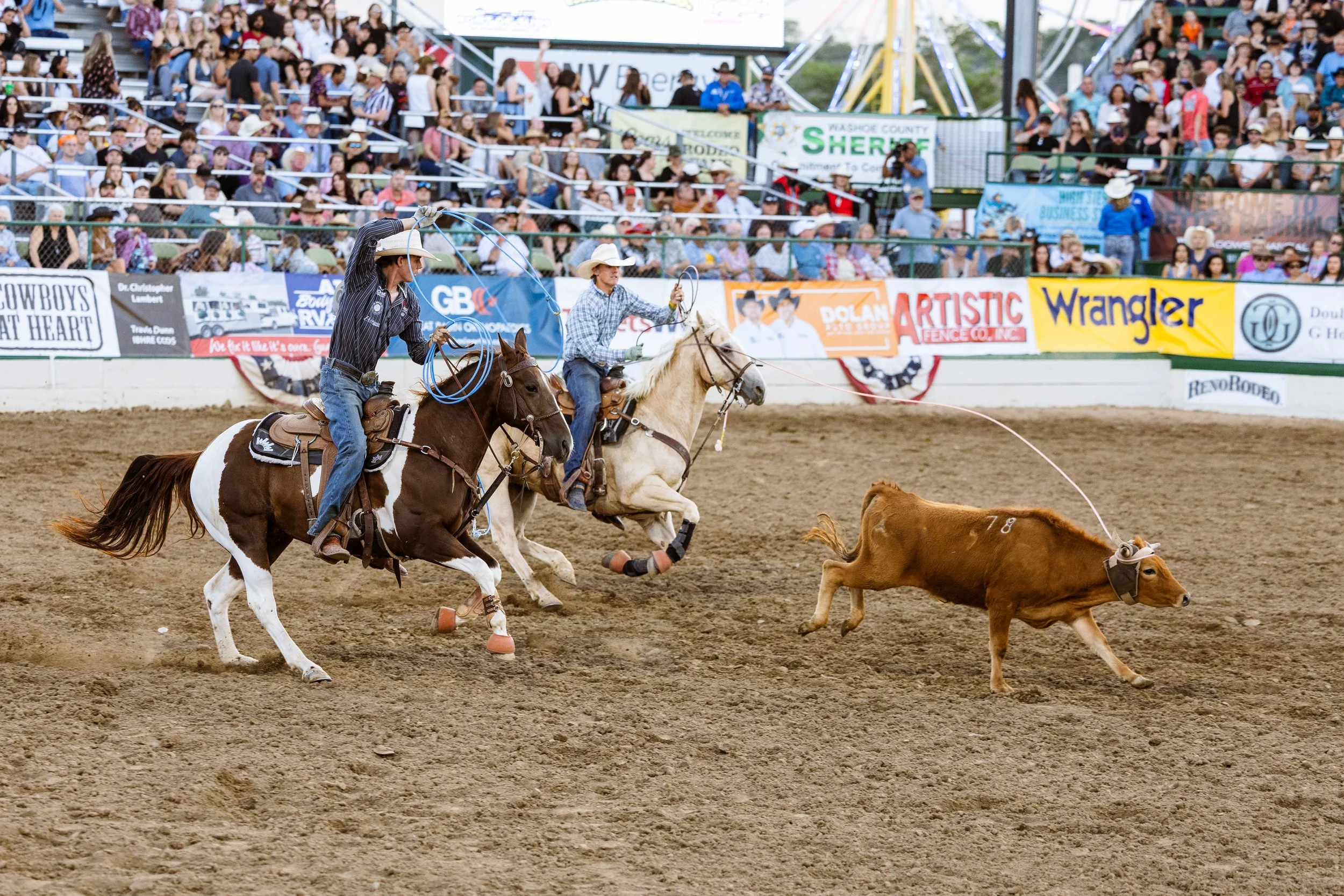 Rodeo-22.jpg